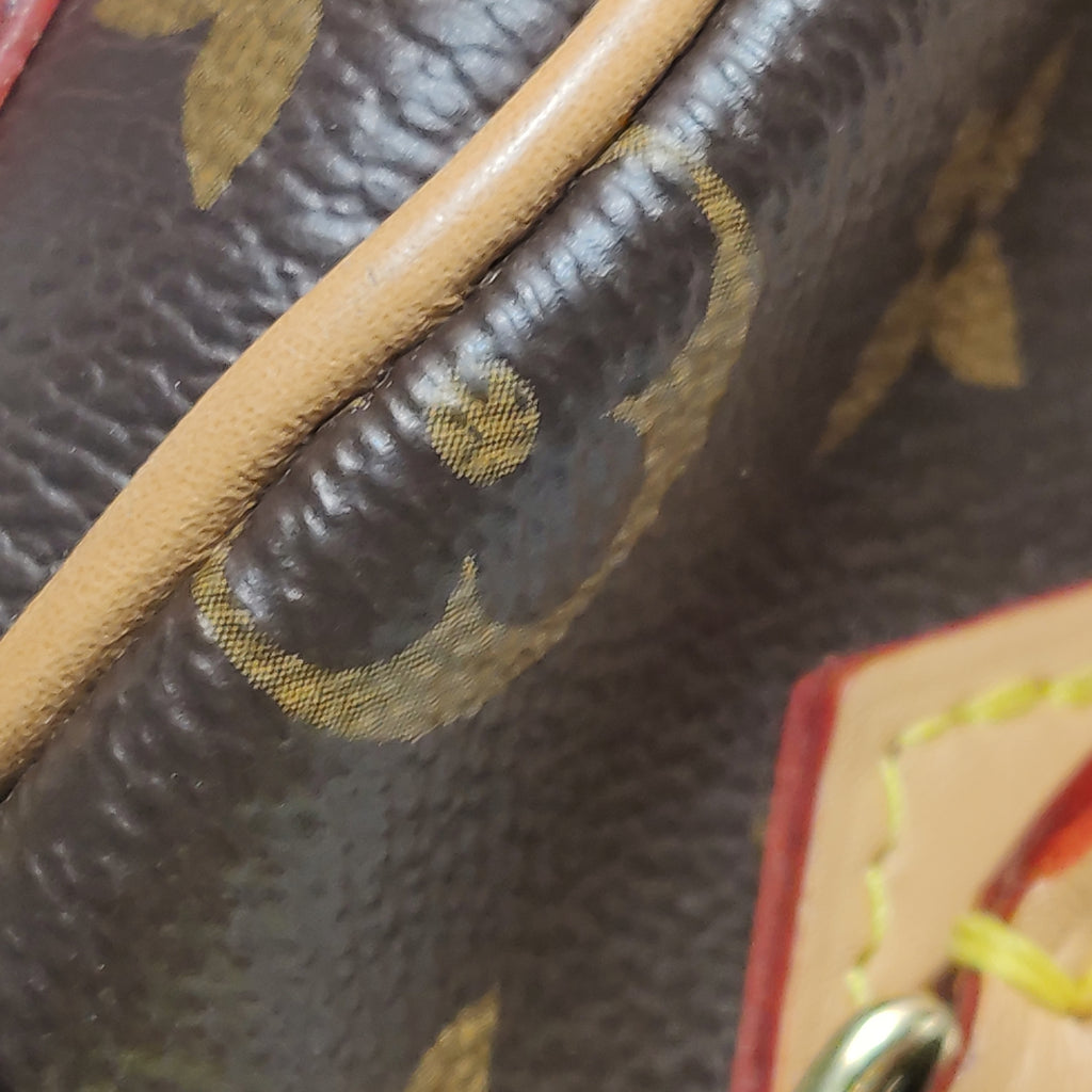 Louis Vuitton Nano Speedy Monogram Crossbody