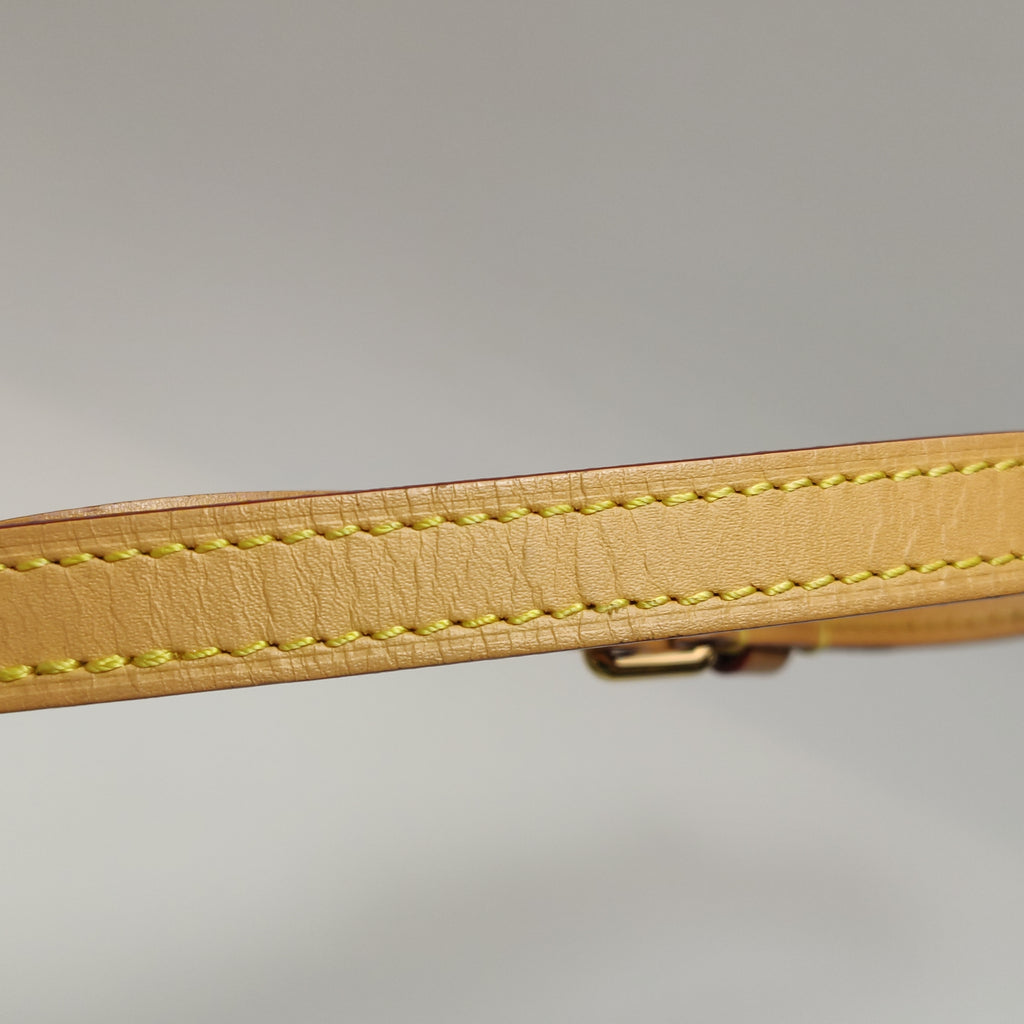 Louis Vuitton Nano Speedy Monogram Crossbody