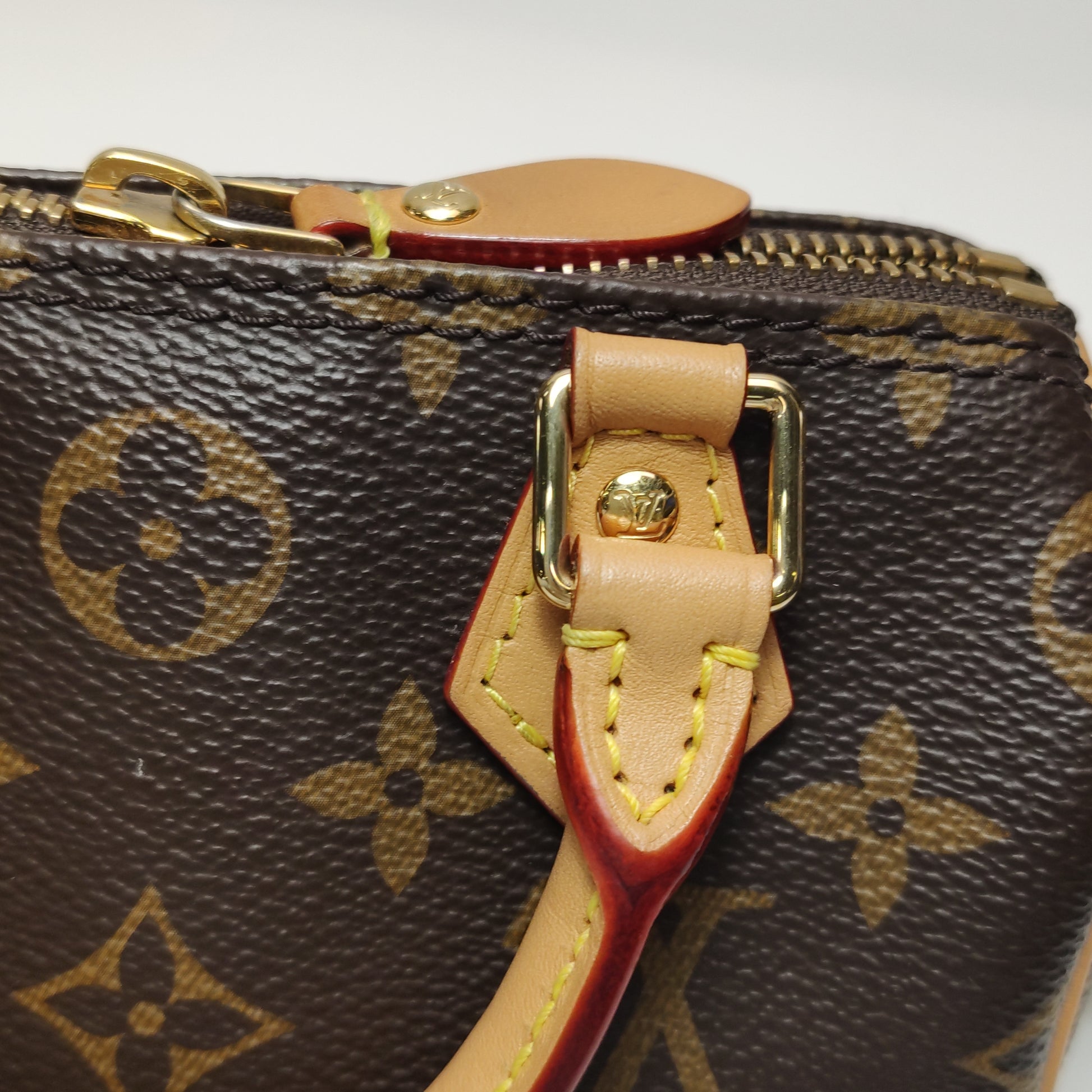 Louis Vuitton Nano Speedy Monogram Crossbody