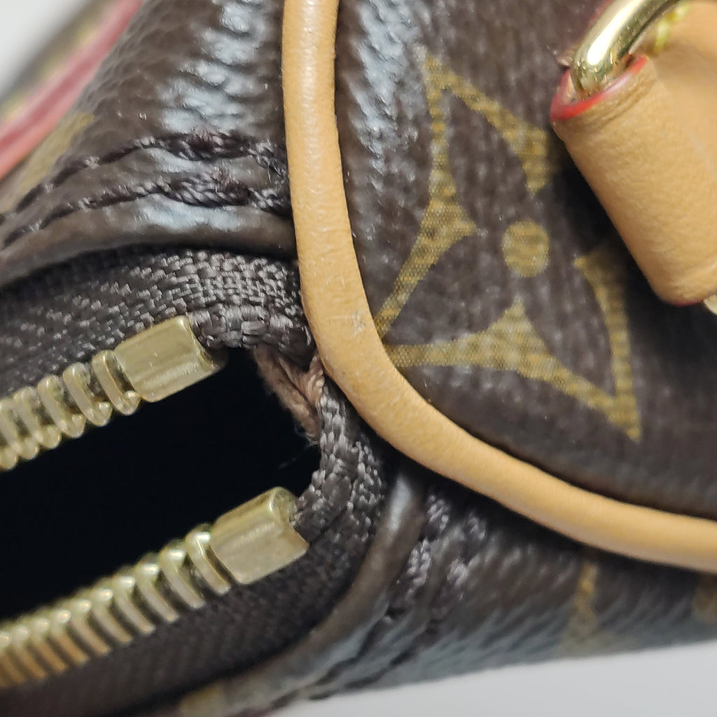 Louis Vuitton Nano Speedy Monogram Crossbody