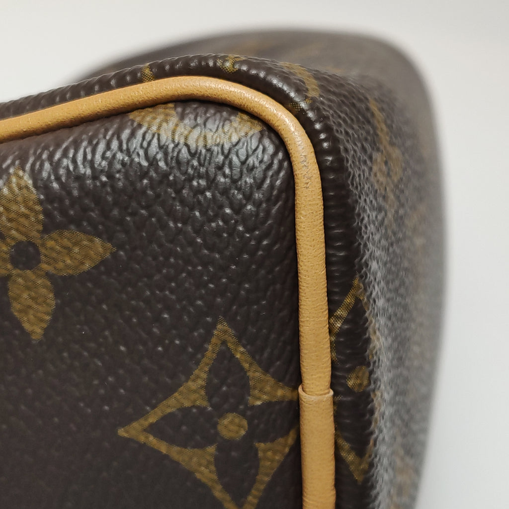 Louis Vuitton Nano Speedy Monogram Crossbody