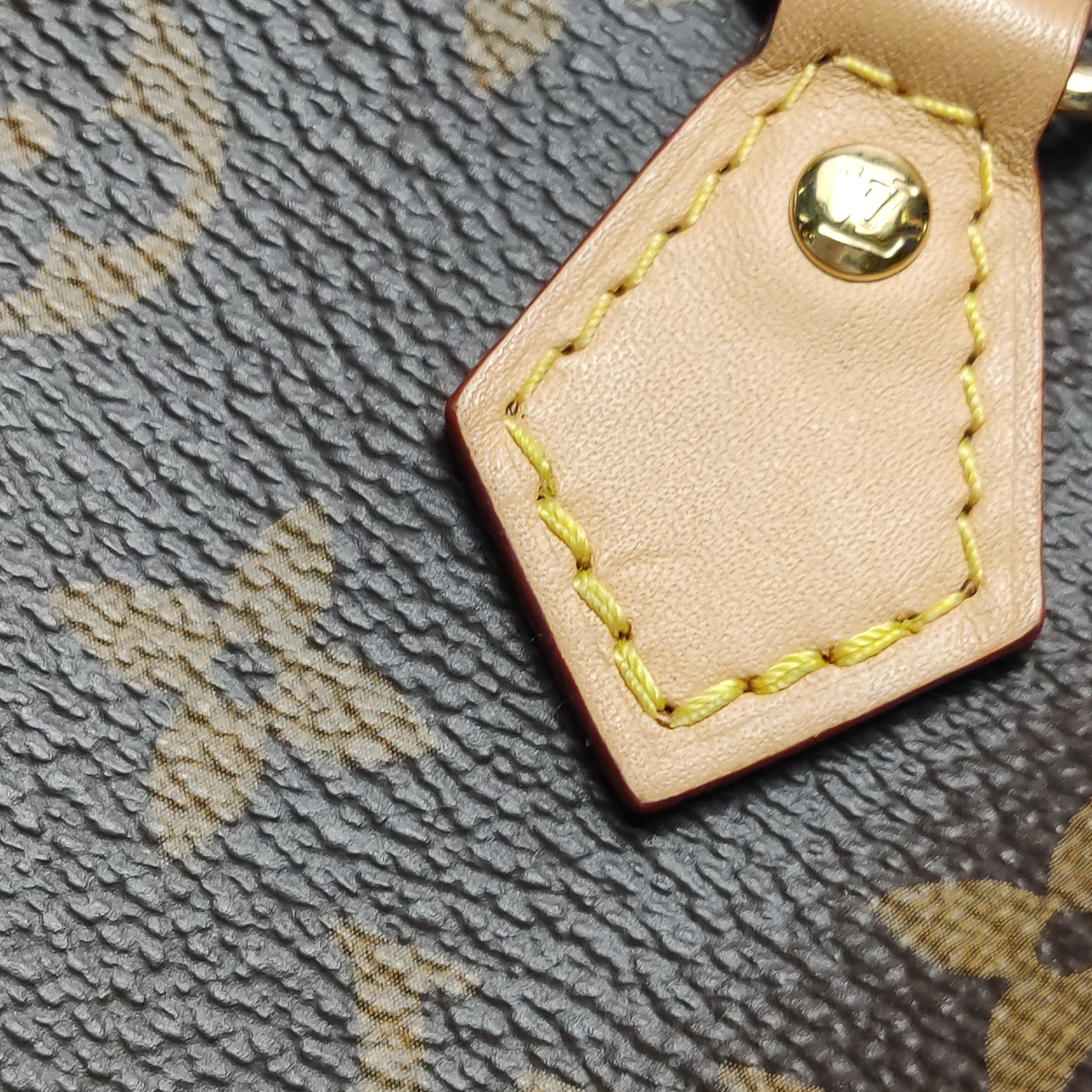 Louis Vuitton Nano Speedy Monogram Crossbody