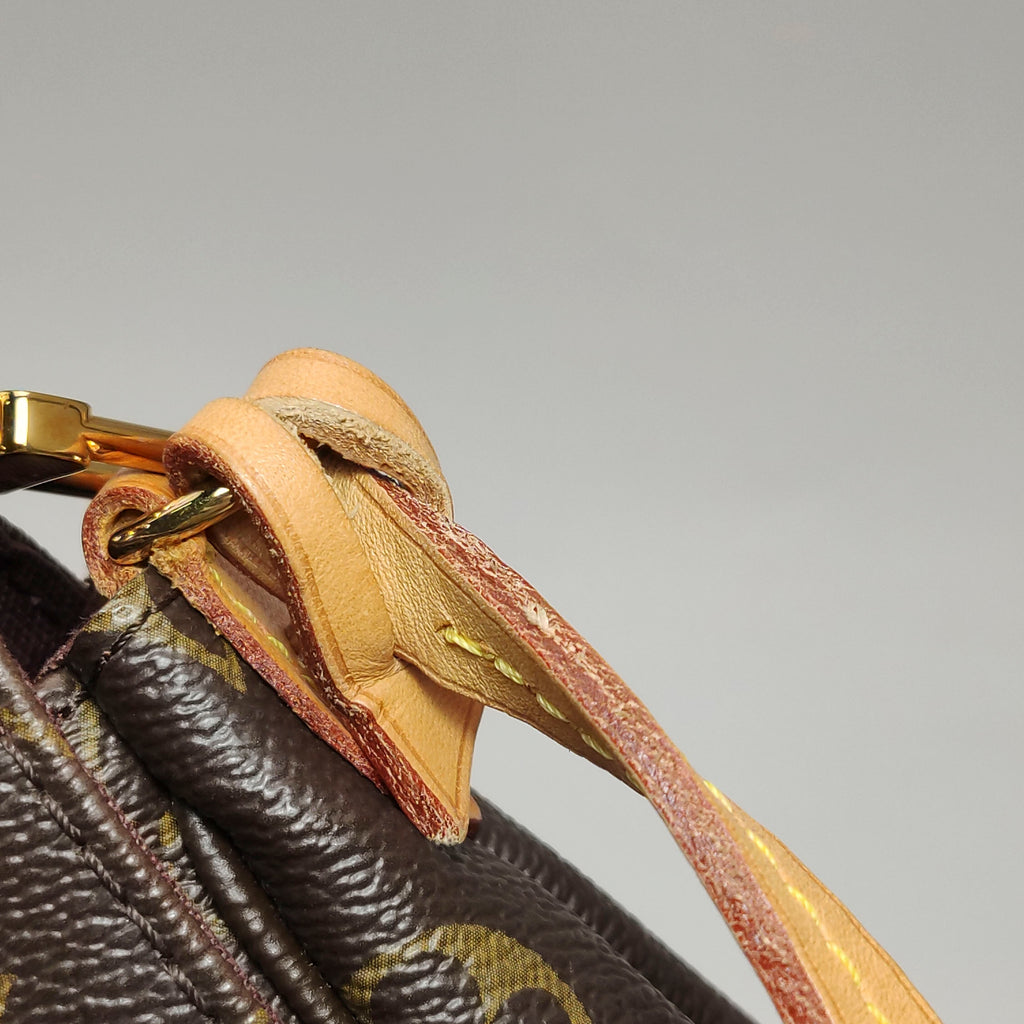 Louis Vuitton Favorite MM Monogram