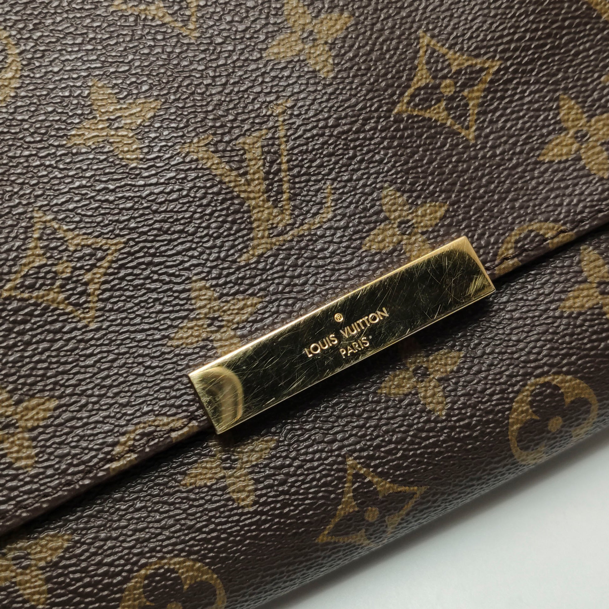 Louis Vuitton Favorite MM Monogram
