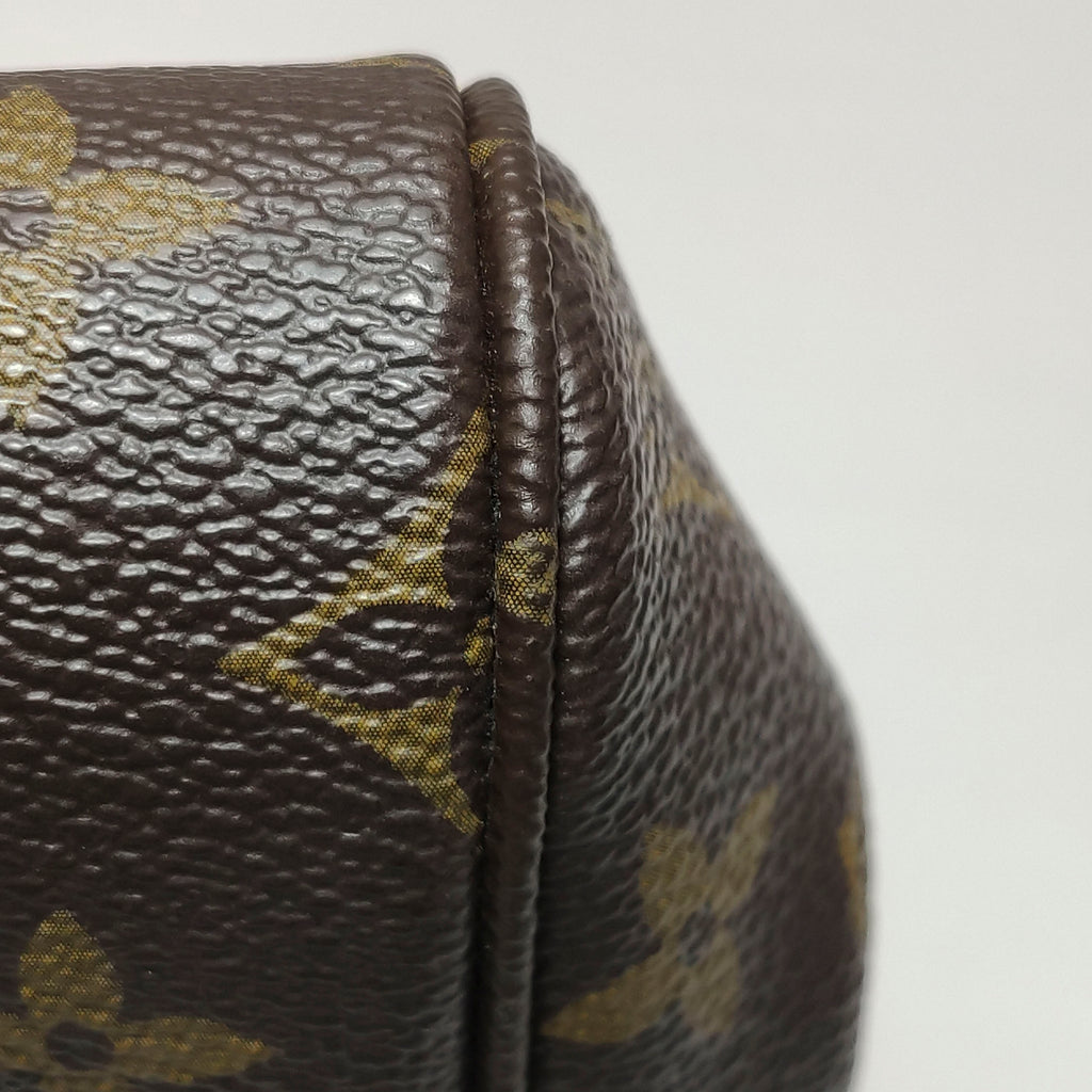 Louis Vuitton Favorite MM Monogram
