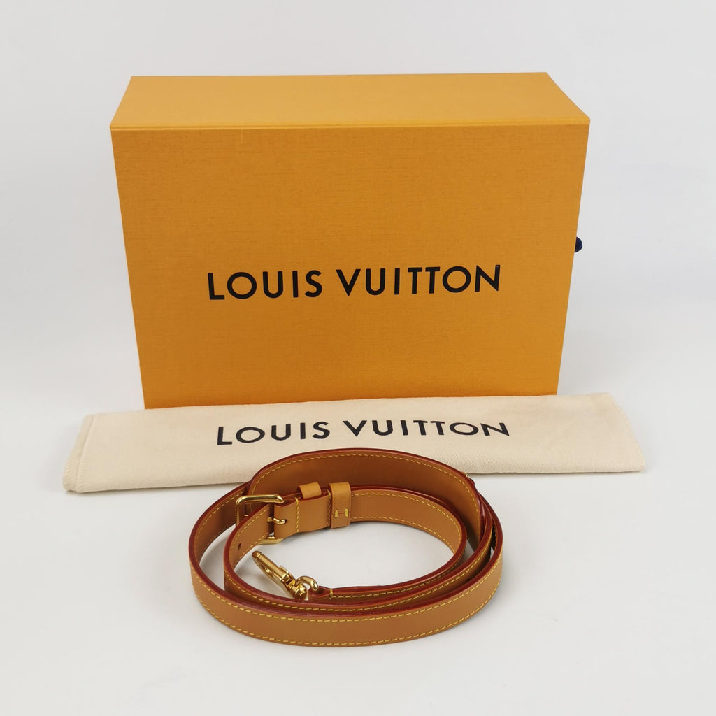 Louis Vuitton Danube Monogram Crossbody
