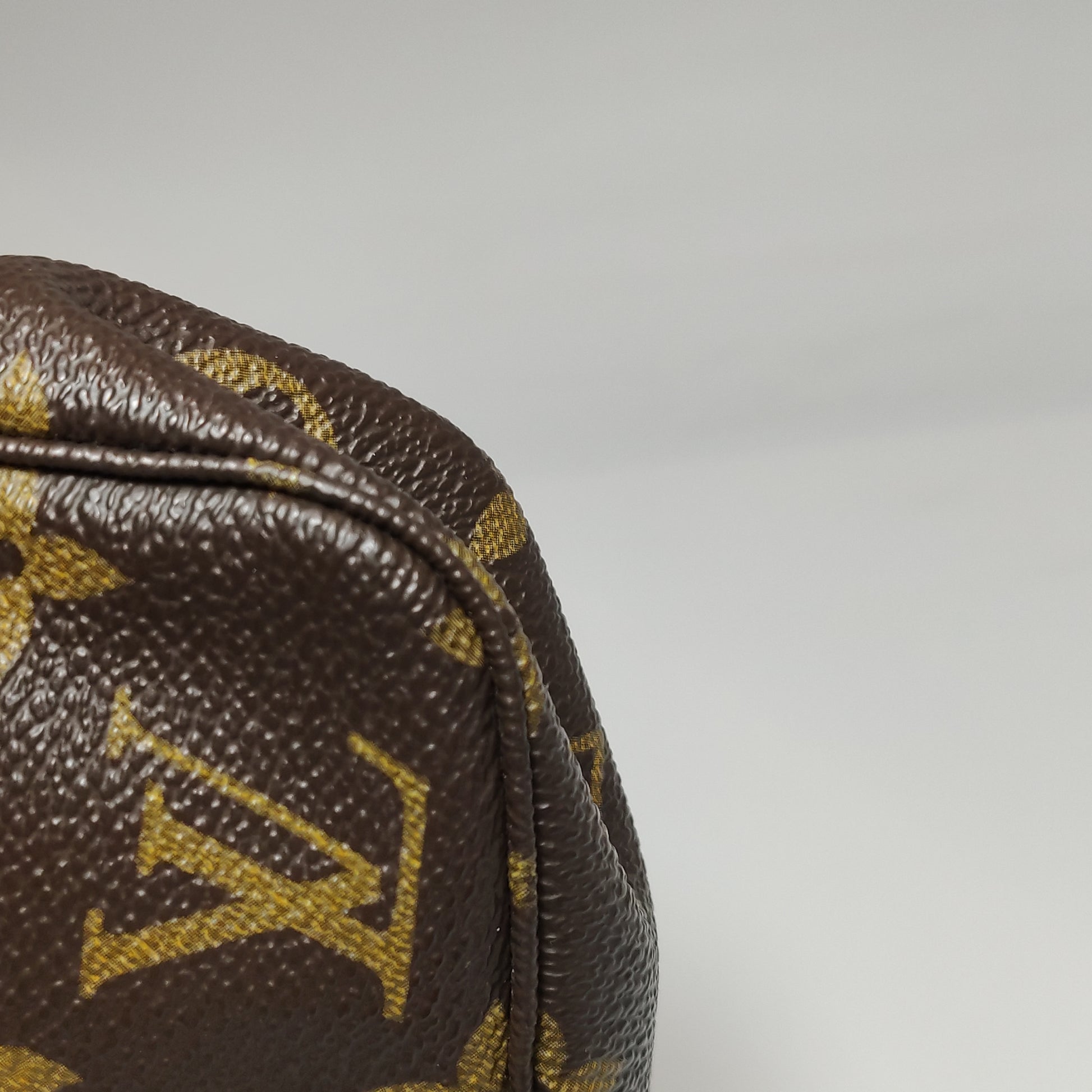 Louis Vuitton Pochette Accessoires Monogram