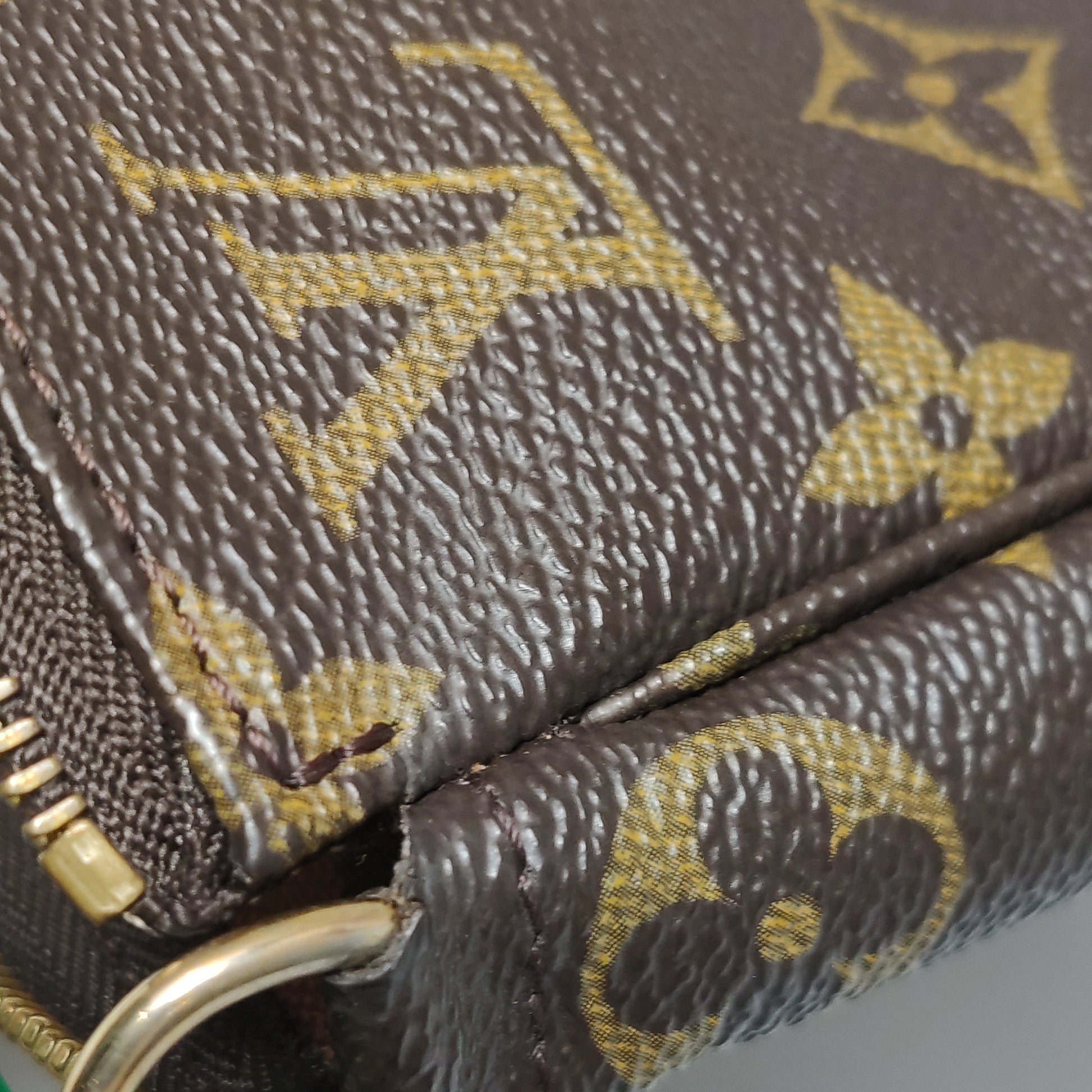Louis Vuitton Pochette Accessoires Monogram