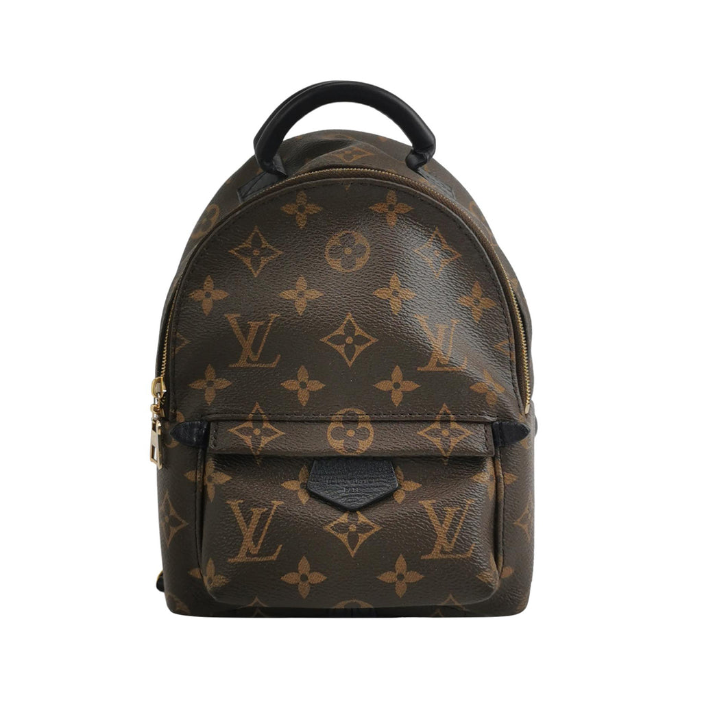 Louis Vuitton Palm Springs Mini Backpack