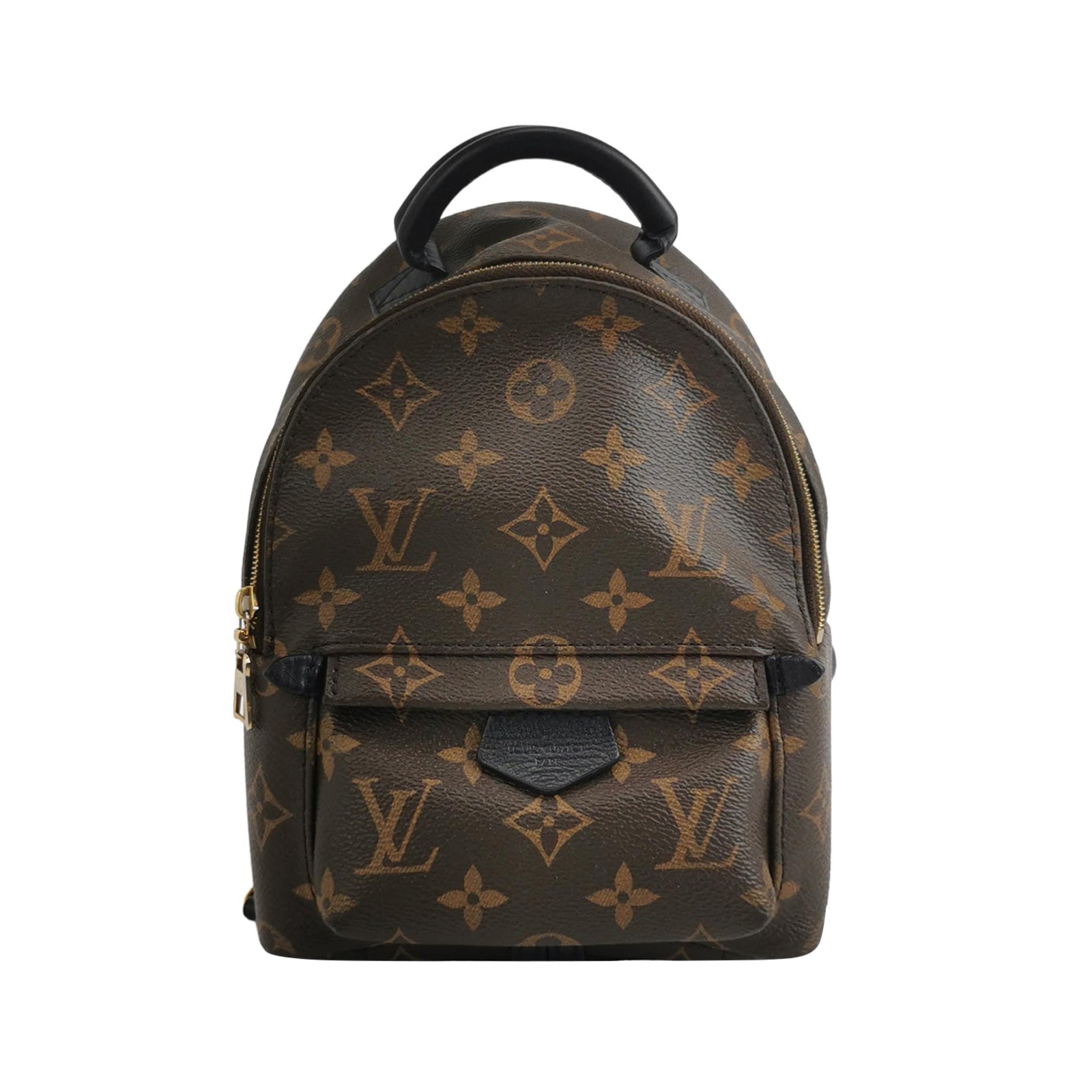 Louis Vuitton Palm Springs Mini Backpack