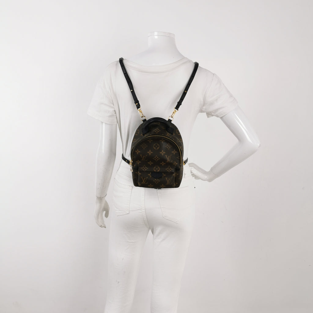 Louis Vuitton Palm Springs Mini Backpack