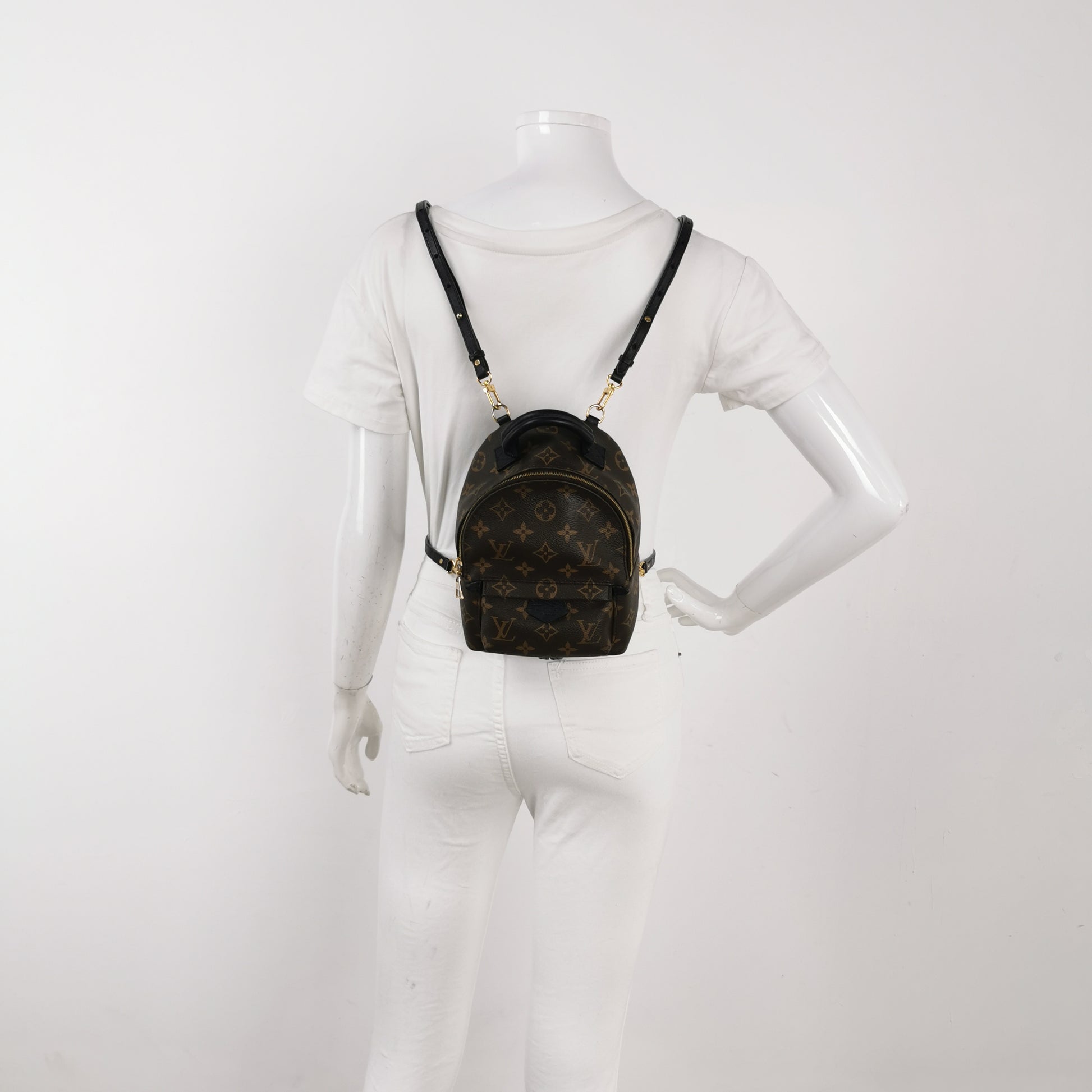 Louis Vuitton Palm Springs Mini Backpack