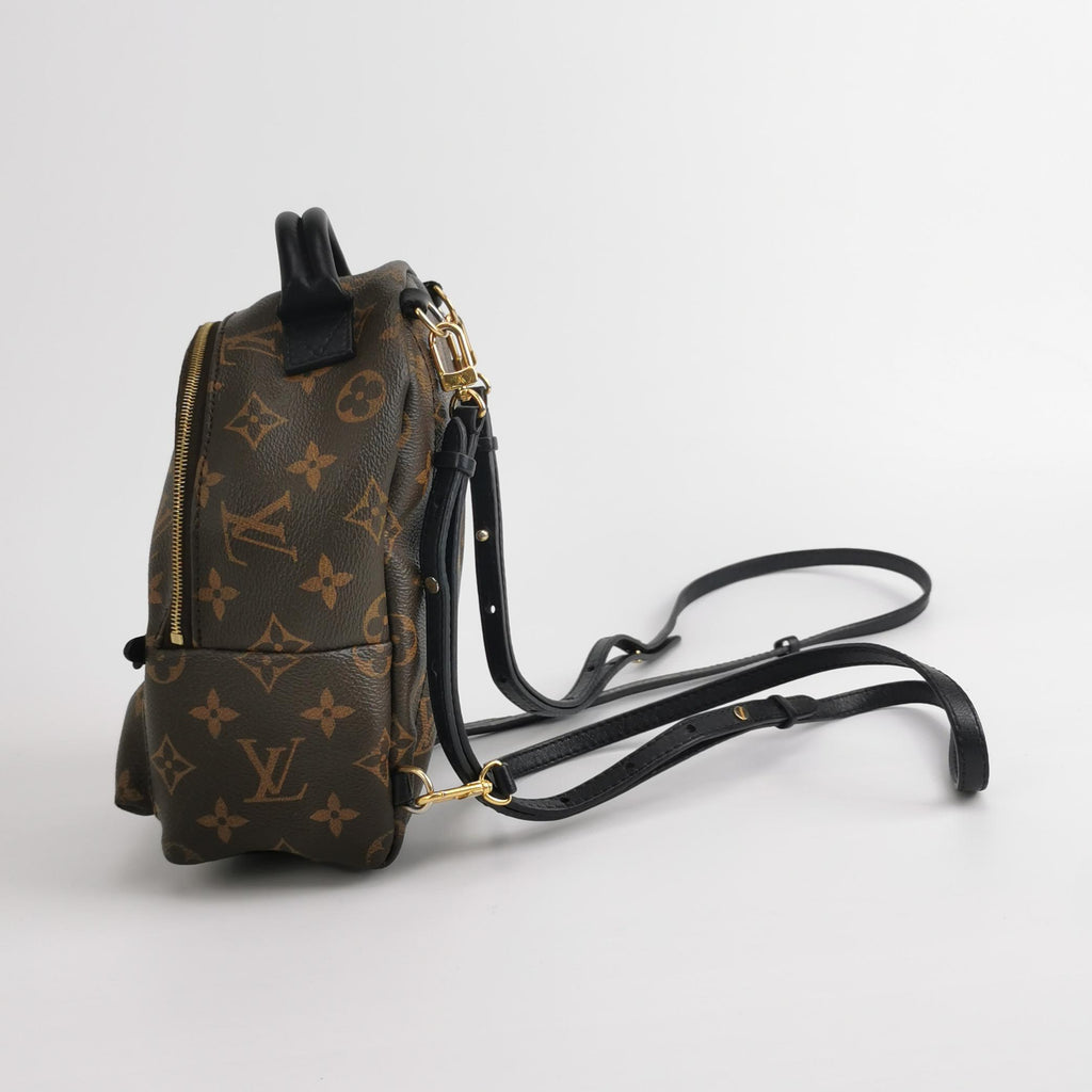 Louis Vuitton Palm Springs Mini Backpack