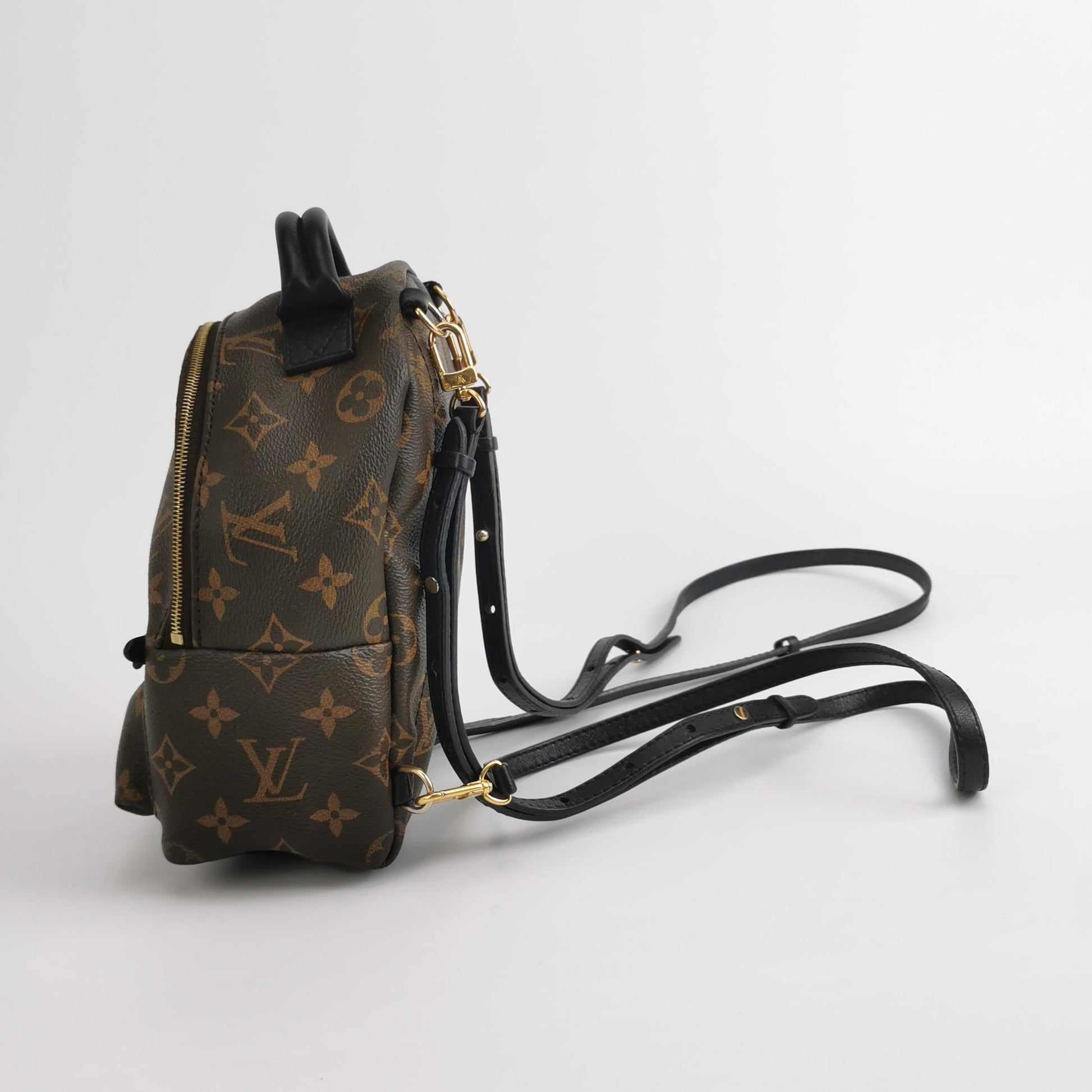Louis Vuitton Palm Springs Mini Backpack