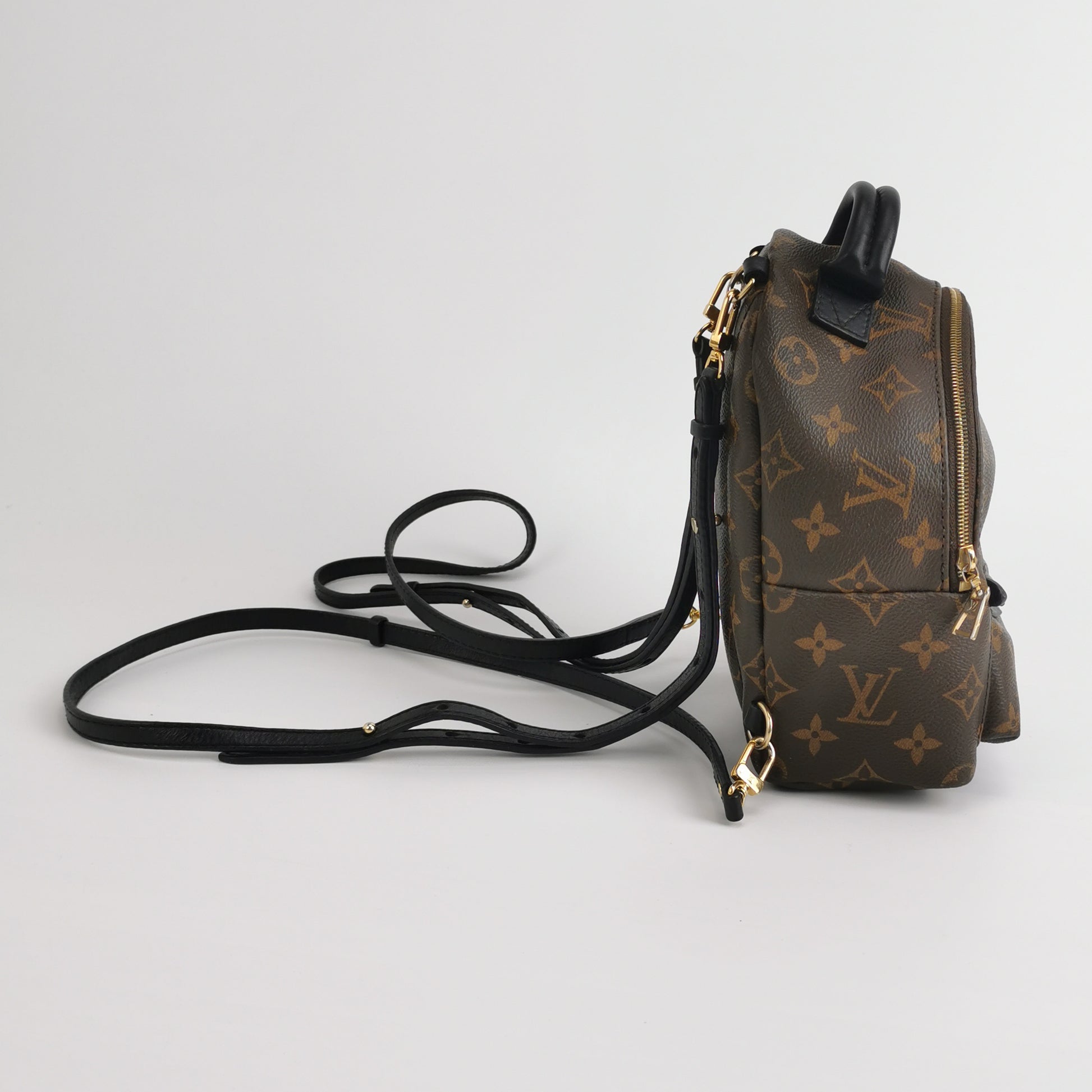 Louis Vuitton Palm Springs Mini Backpack