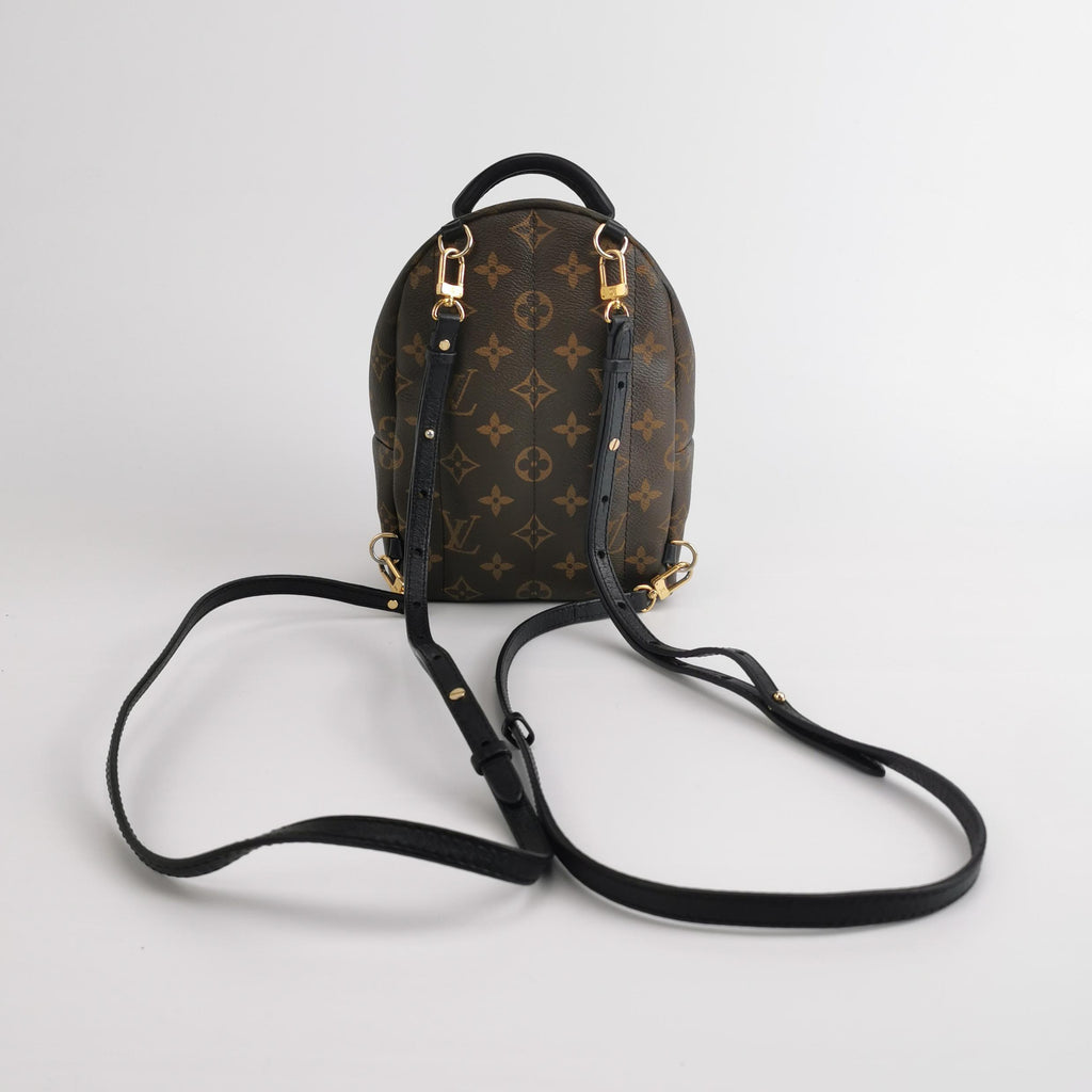 Louis Vuitton Palm Springs Mini Backpack