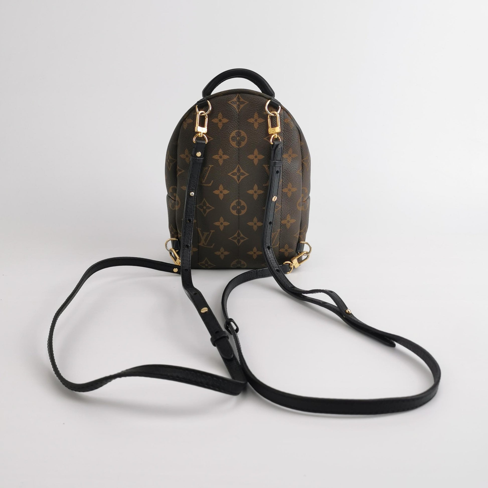 Louis Vuitton Palm Springs Mini Backpack