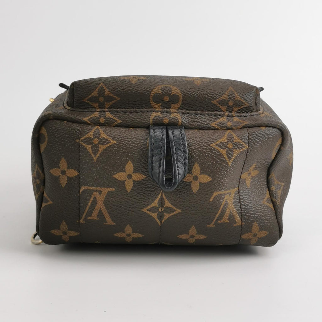 Louis Vuitton Palm Springs Mini Backpack