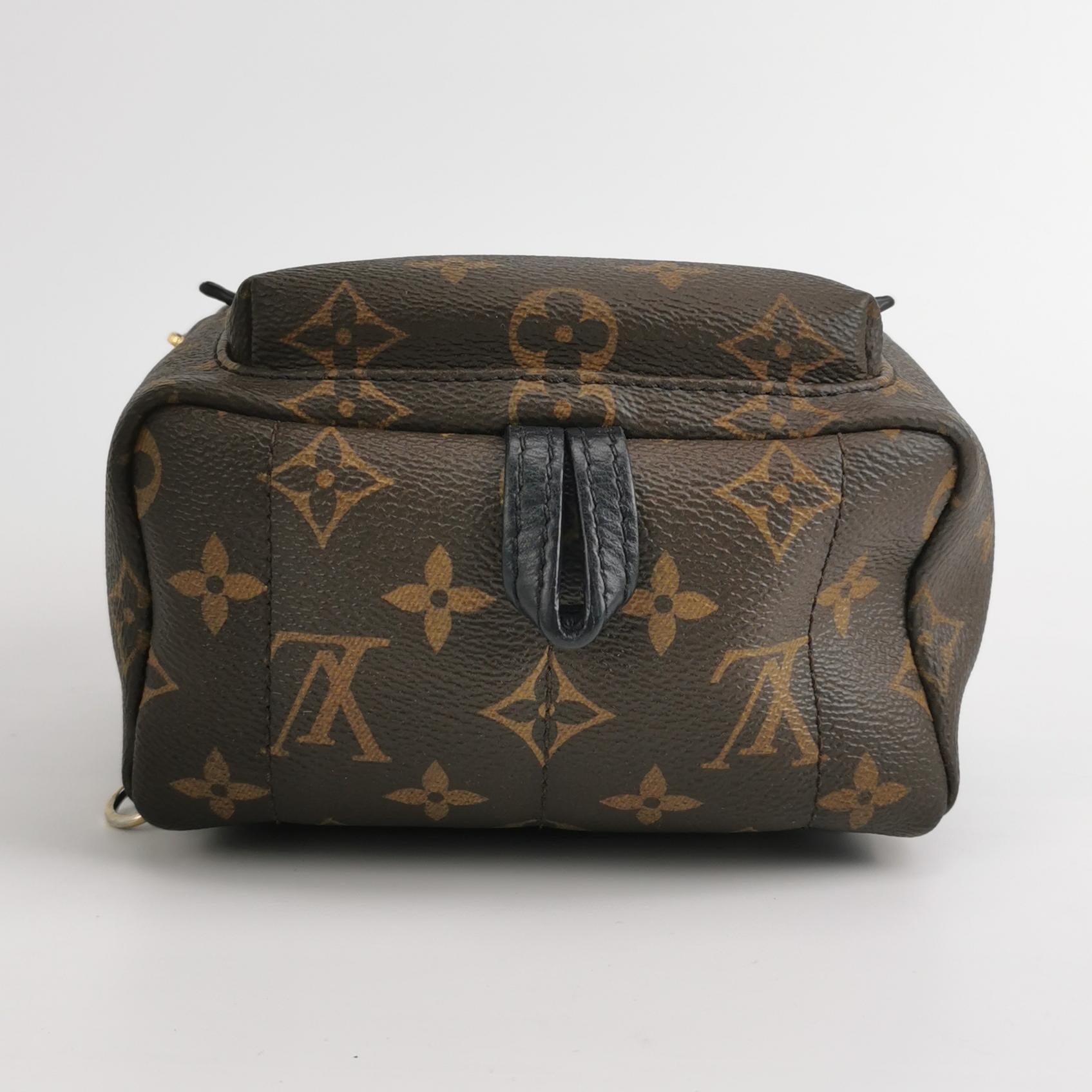 Louis Vuitton Palm Springs Mini Backpack