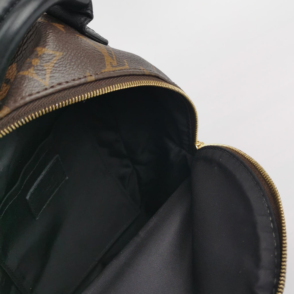 Louis Vuitton Palm Springs Mini Backpack