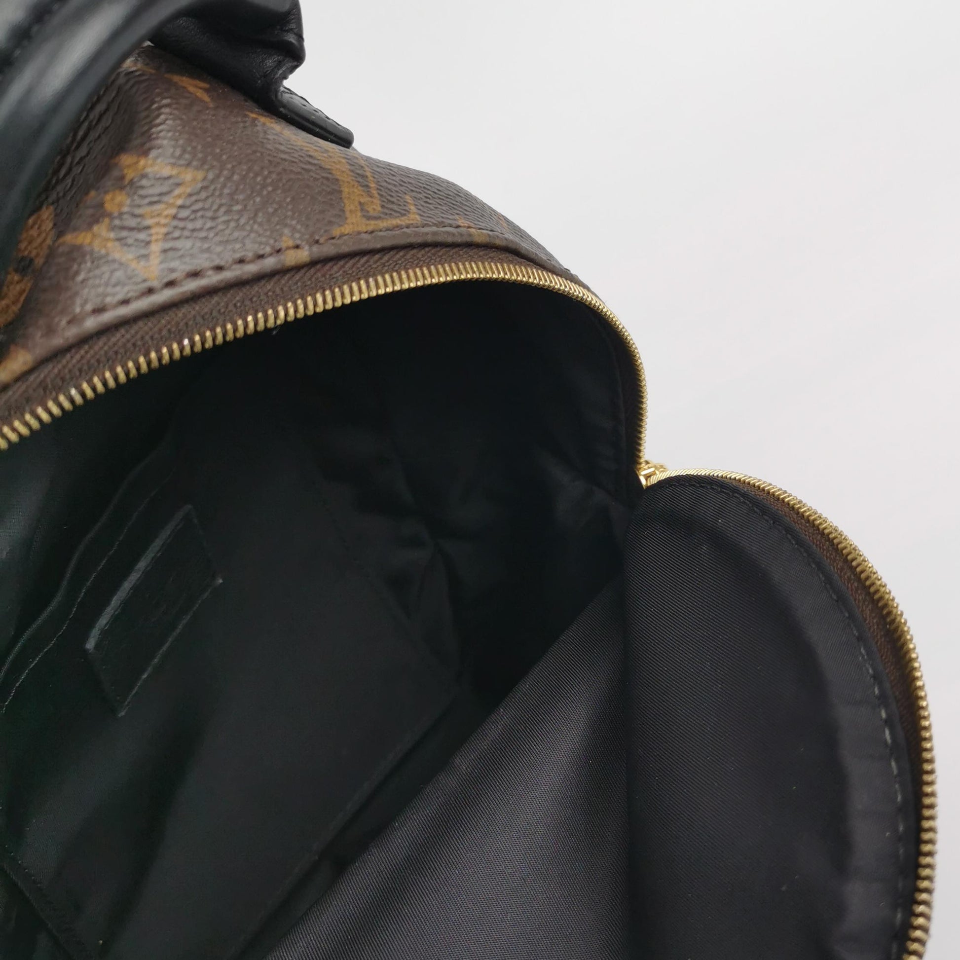 Louis Vuitton Palm Springs Mini Backpack