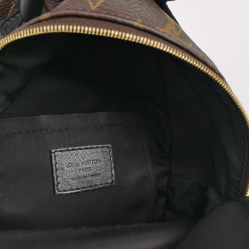 Louis Vuitton Palm Springs Mini Backpack