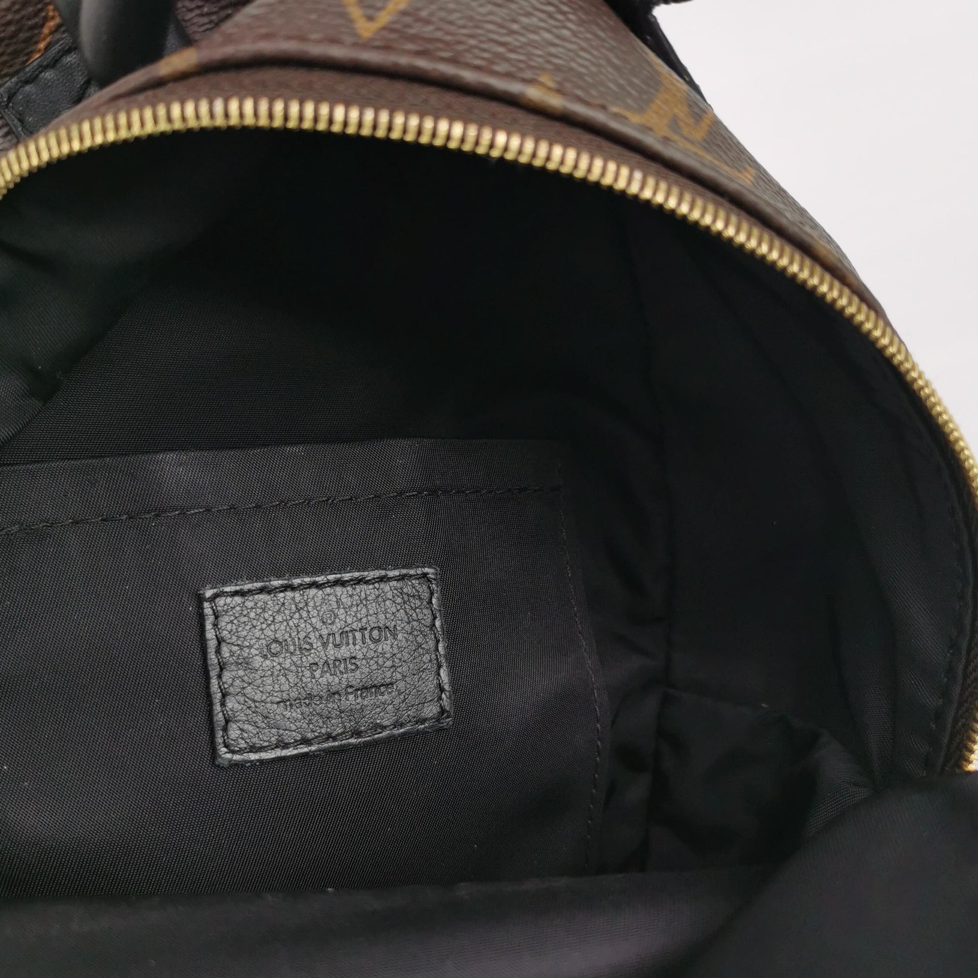 Louis Vuitton Palm Springs Mini Backpack