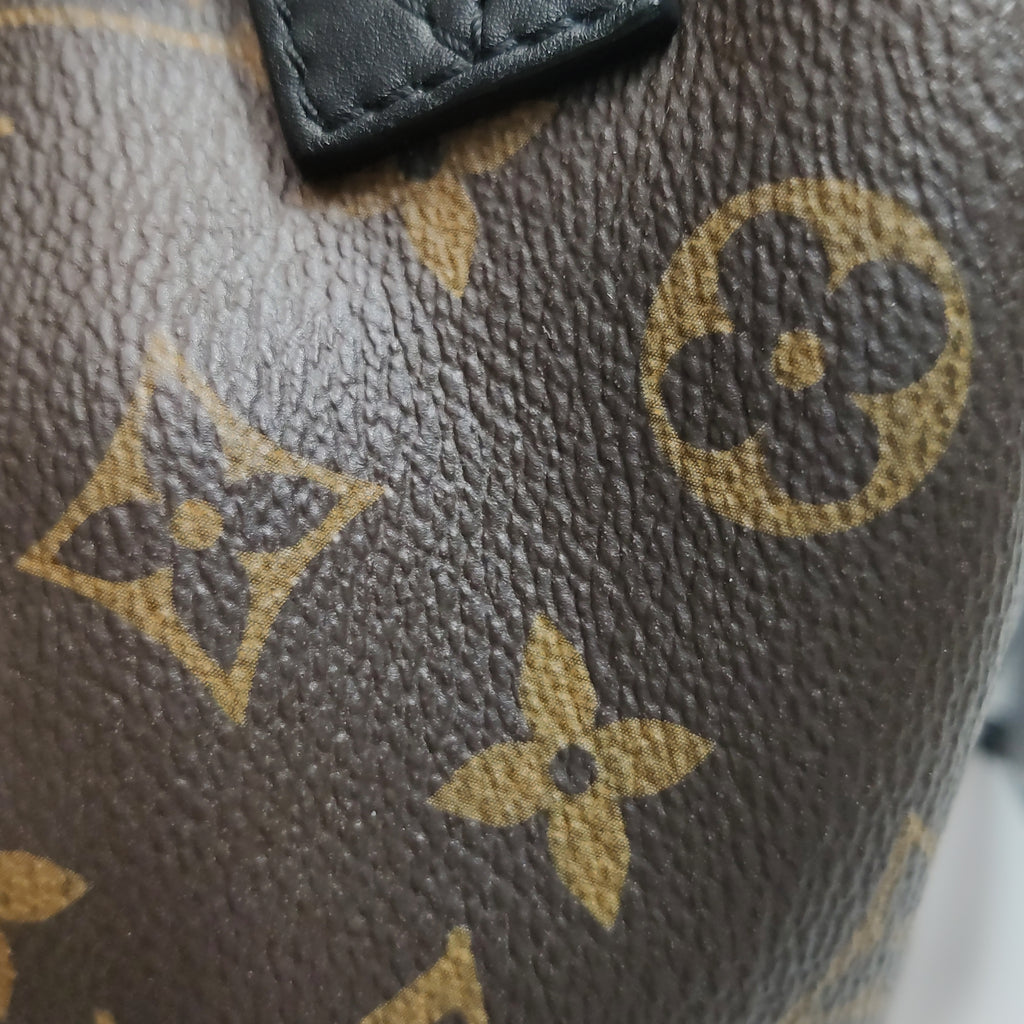 Louis Vuitton Palm Springs Mini Backpack