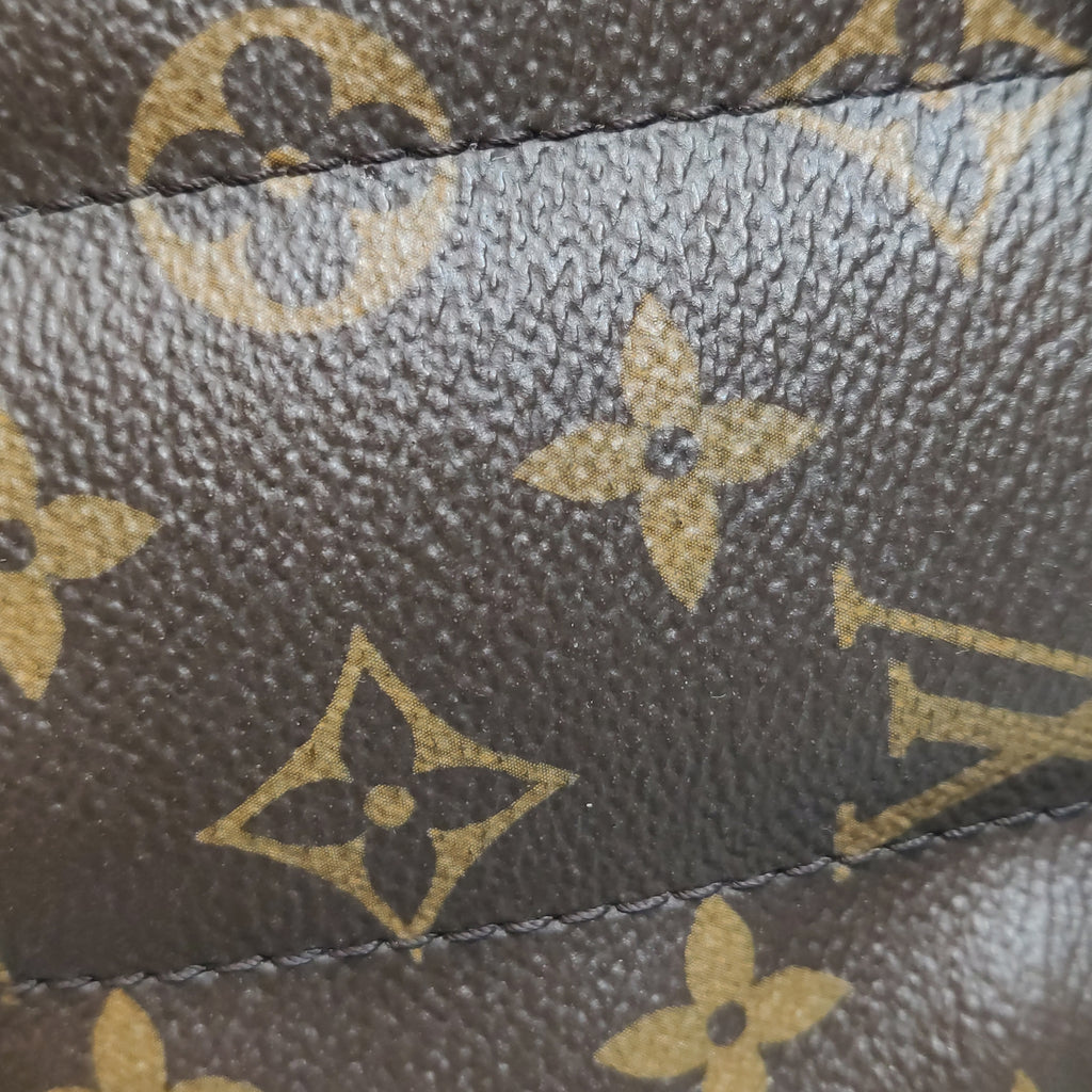 Louis Vuitton Palm Springs Mini Backpack