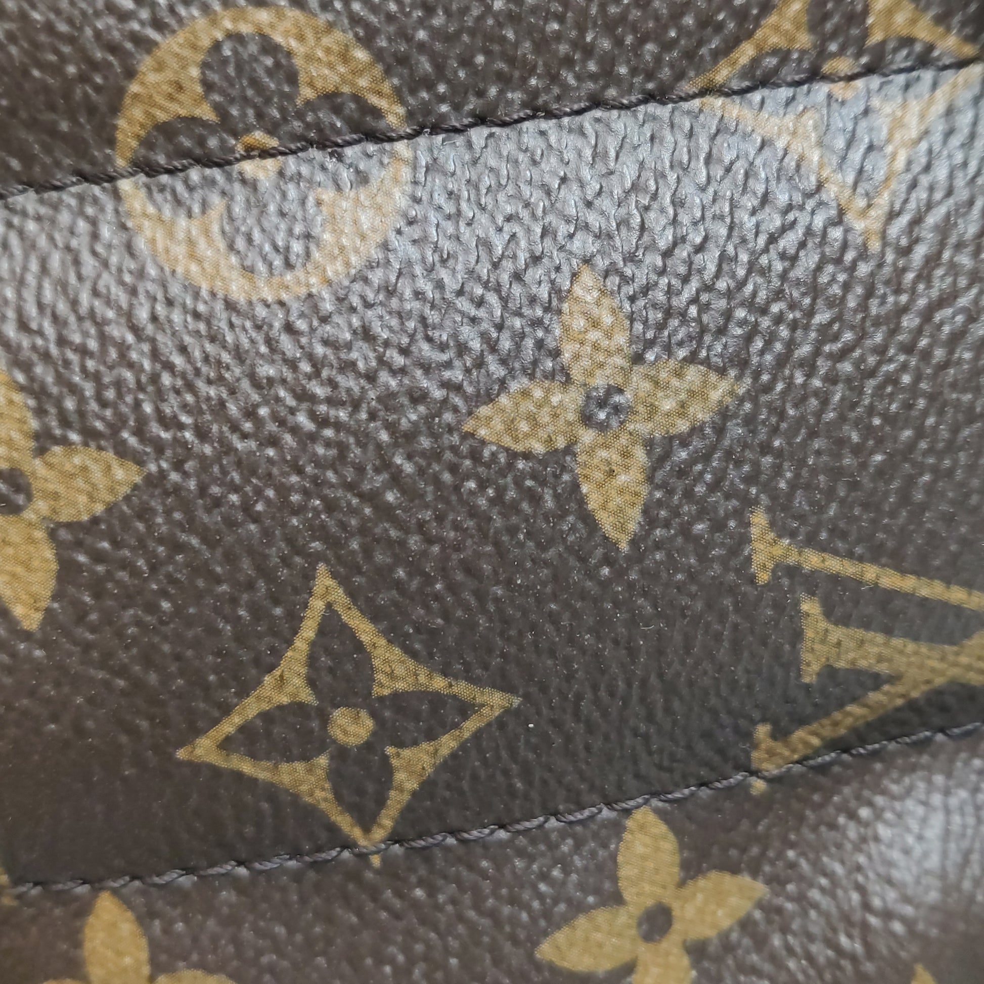 Louis Vuitton Palm Springs Mini Backpack