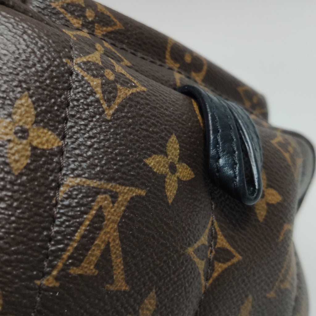 Louis Vuitton Palm Springs Mini Backpack