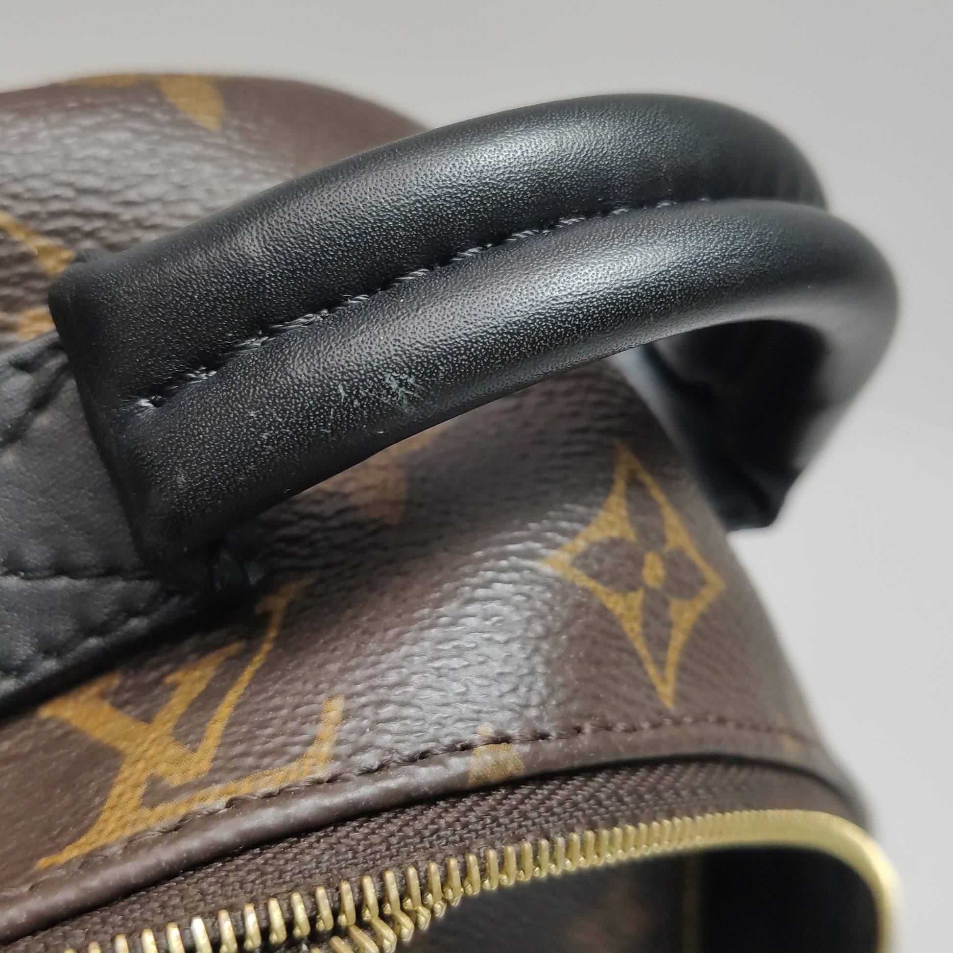 Louis Vuitton Palm Springs Mini Backpack