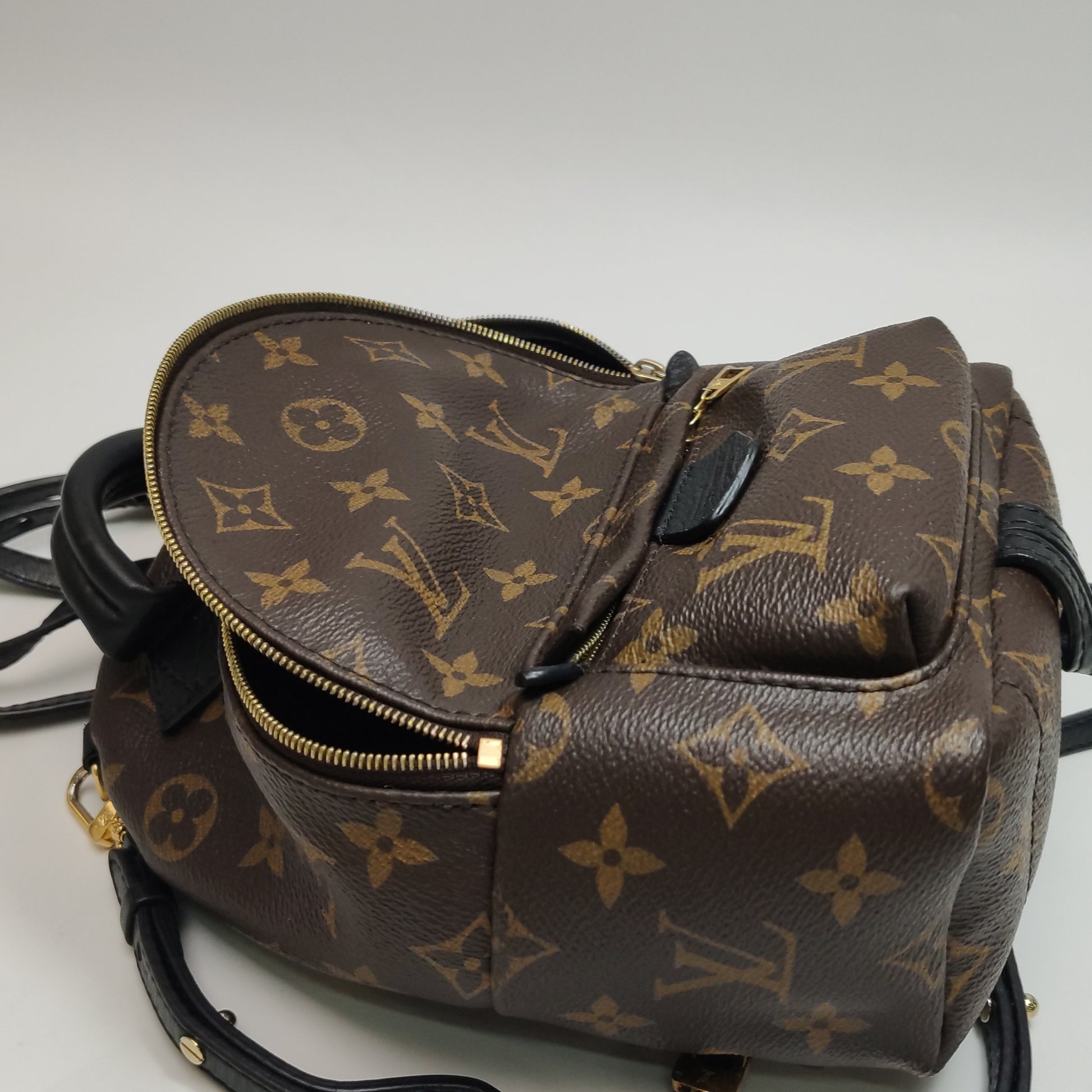 Louis Vuitton Palm Springs Mini Backpack