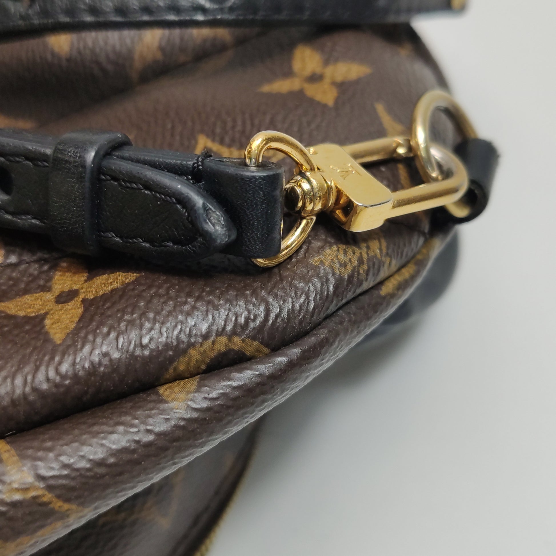 Louis Vuitton Palm Springs Mini Backpack