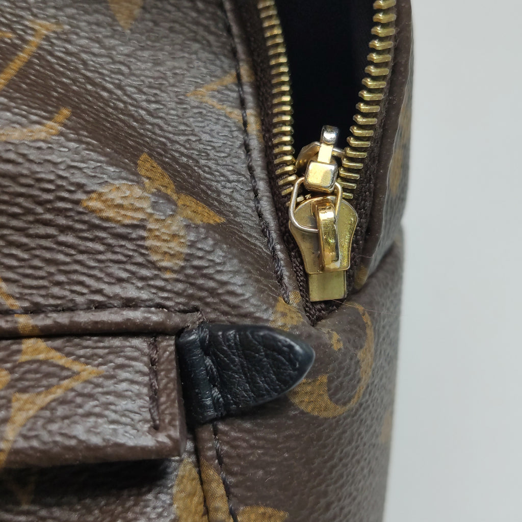 Louis Vuitton Palm Springs Mini Backpack