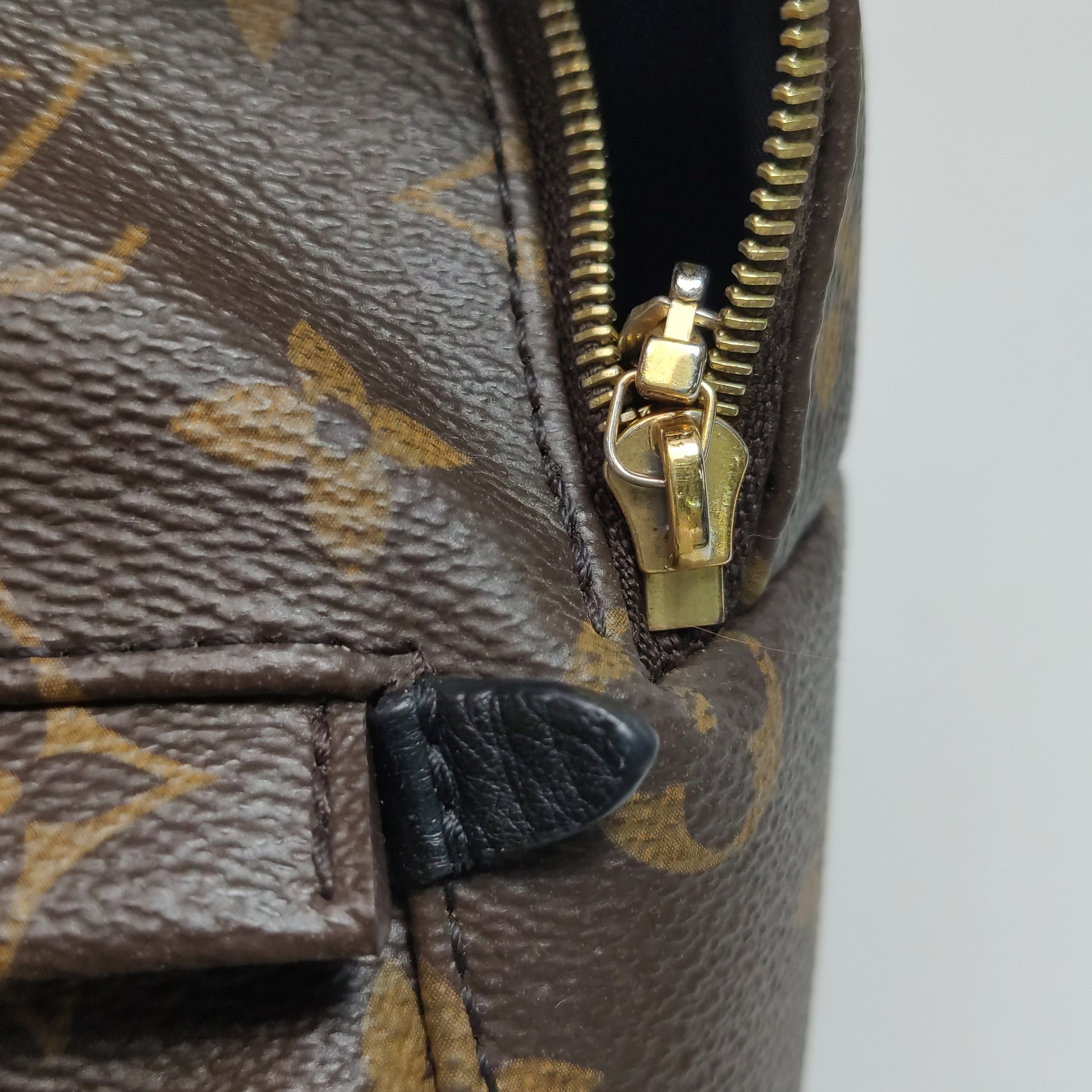 Louis Vuitton Palm Springs Mini Backpack