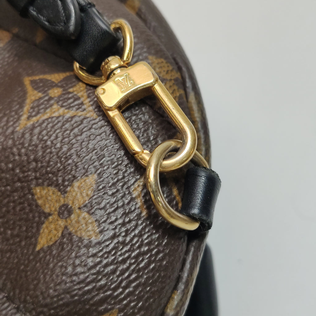 Louis Vuitton Palm Springs Mini Backpack