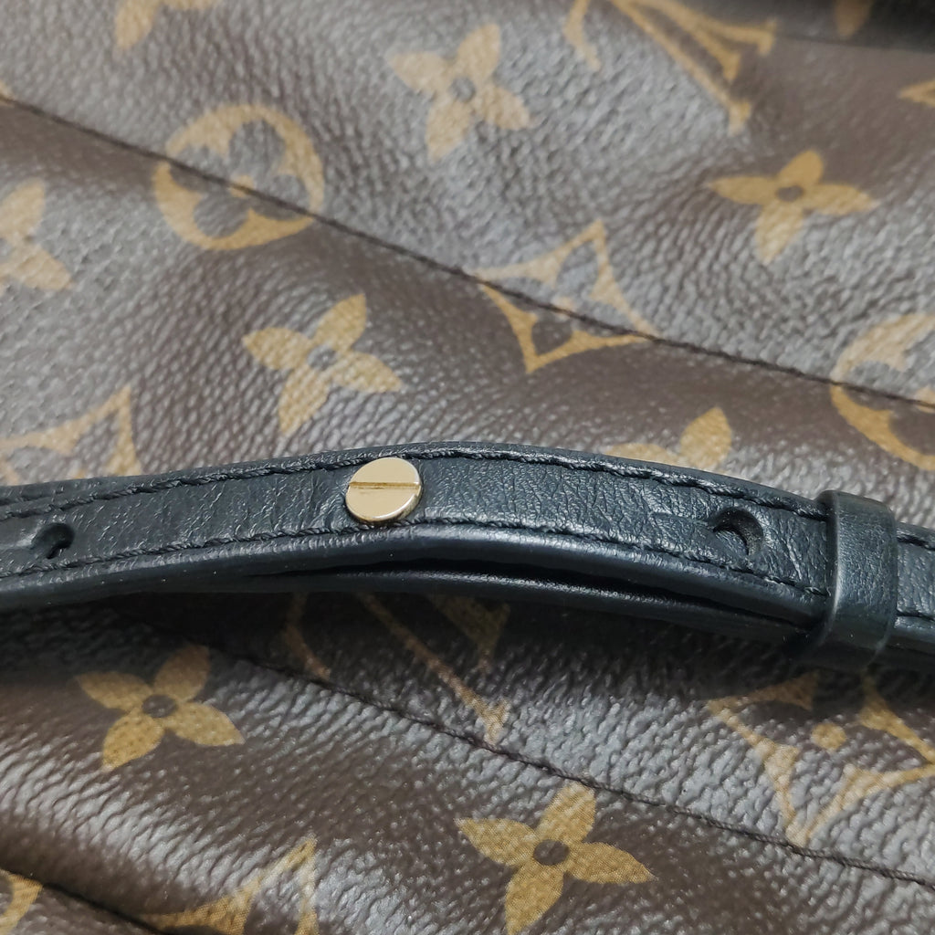 Louis Vuitton Palm Springs Mini Backpack