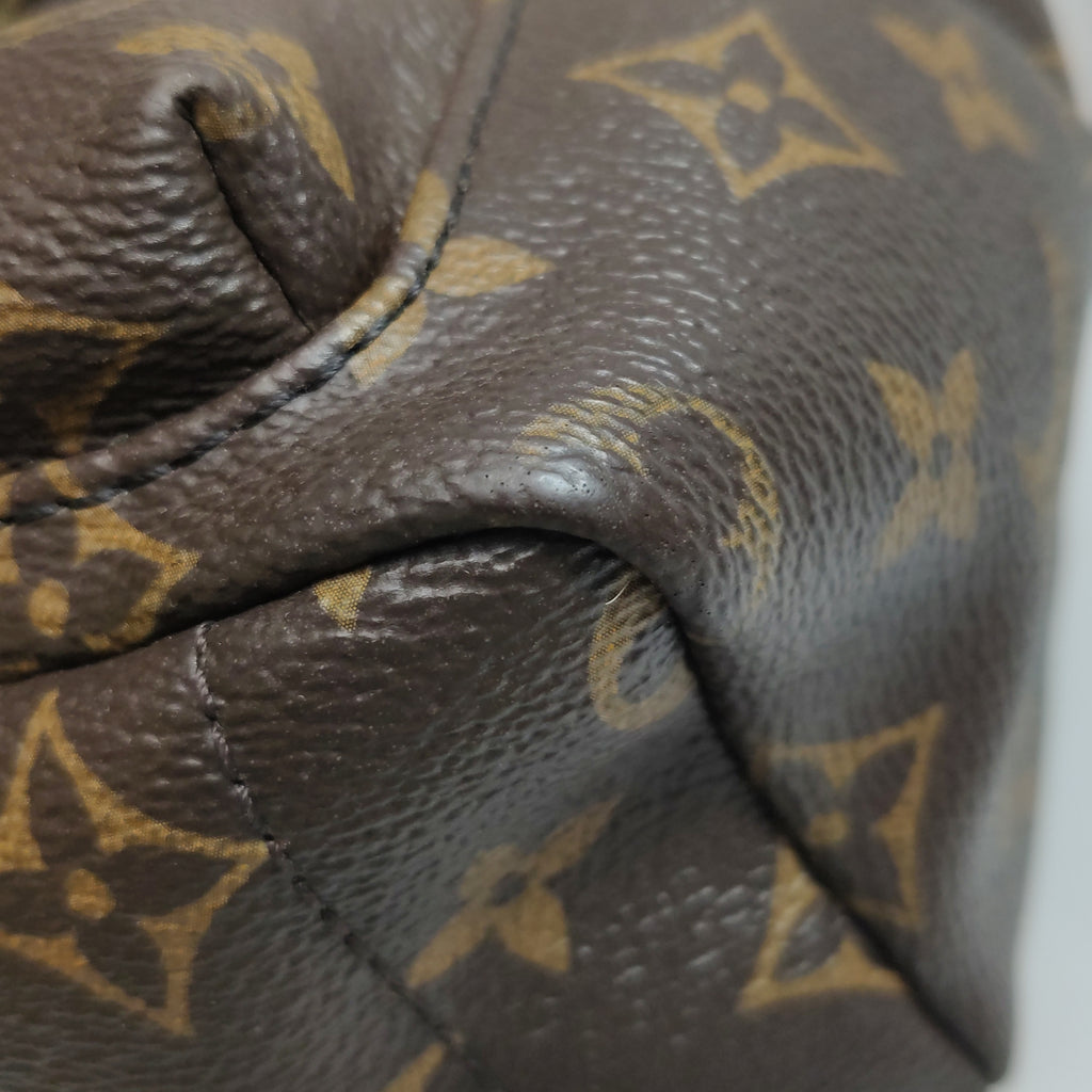 Louis Vuitton Palm Springs Mini Backpack
