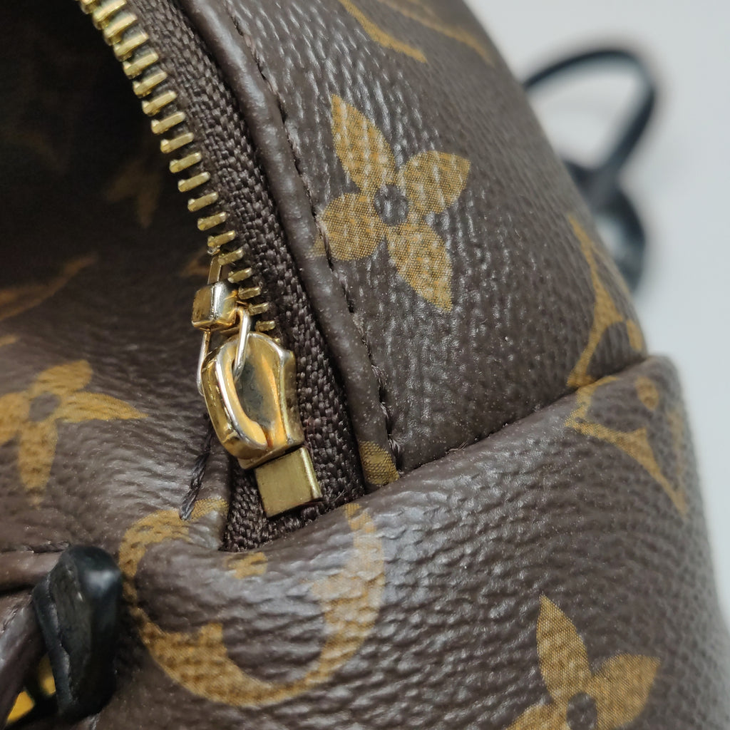 Louis Vuitton Palm Springs Mini Backpack
