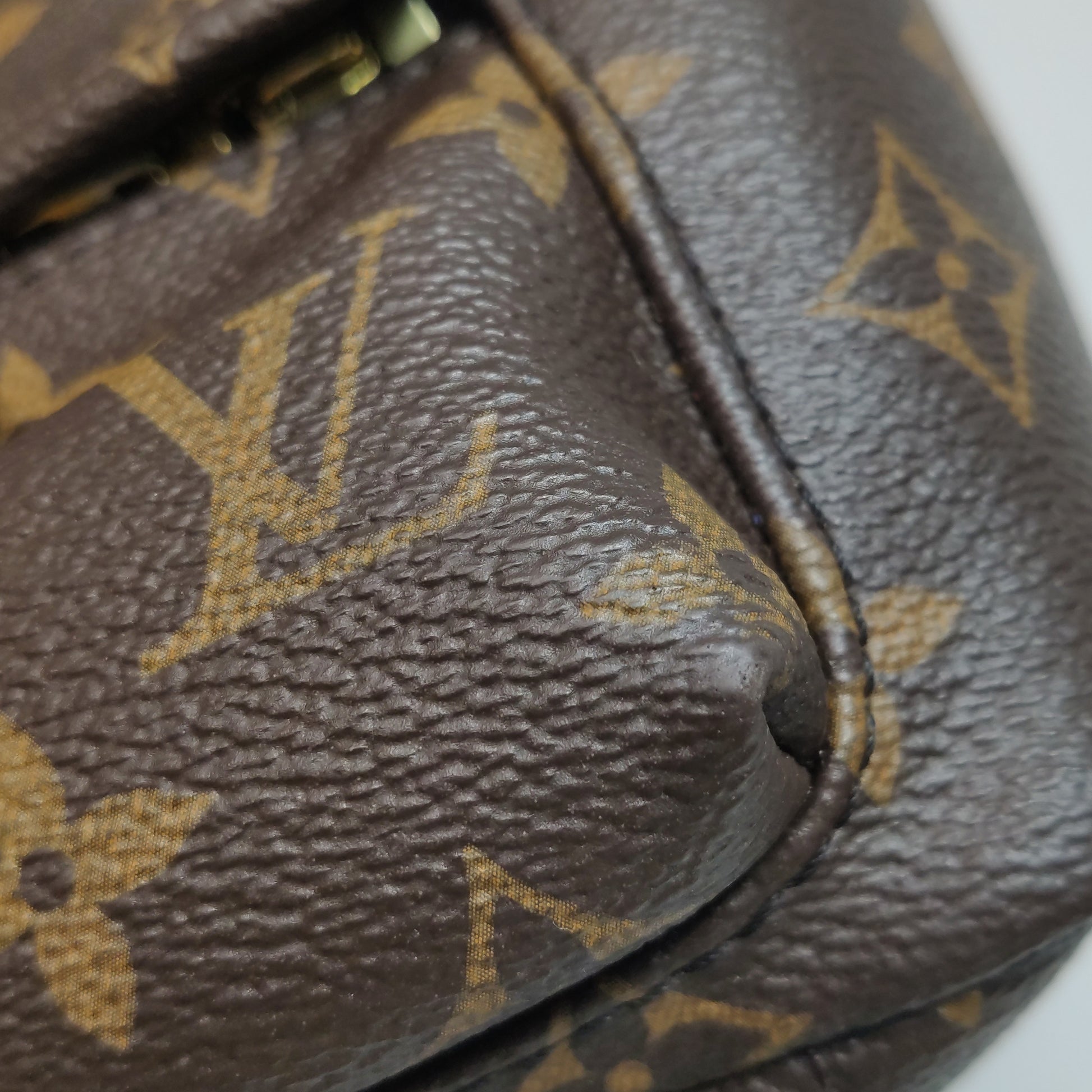 Louis Vuitton Palm Springs Mini Backpack