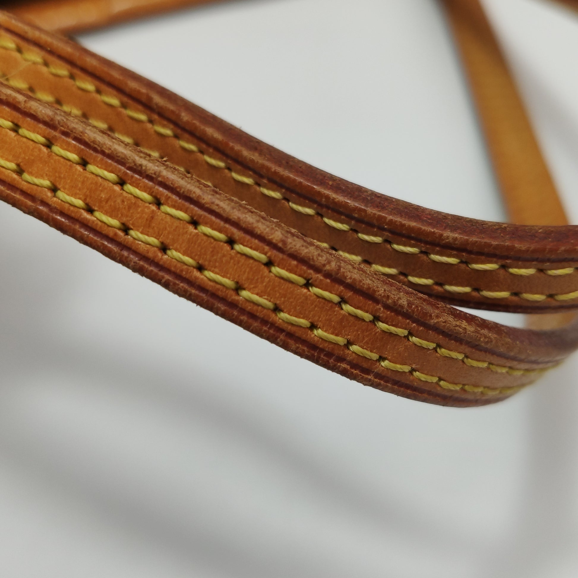Louis Vuitton Neverfull PM Monogram