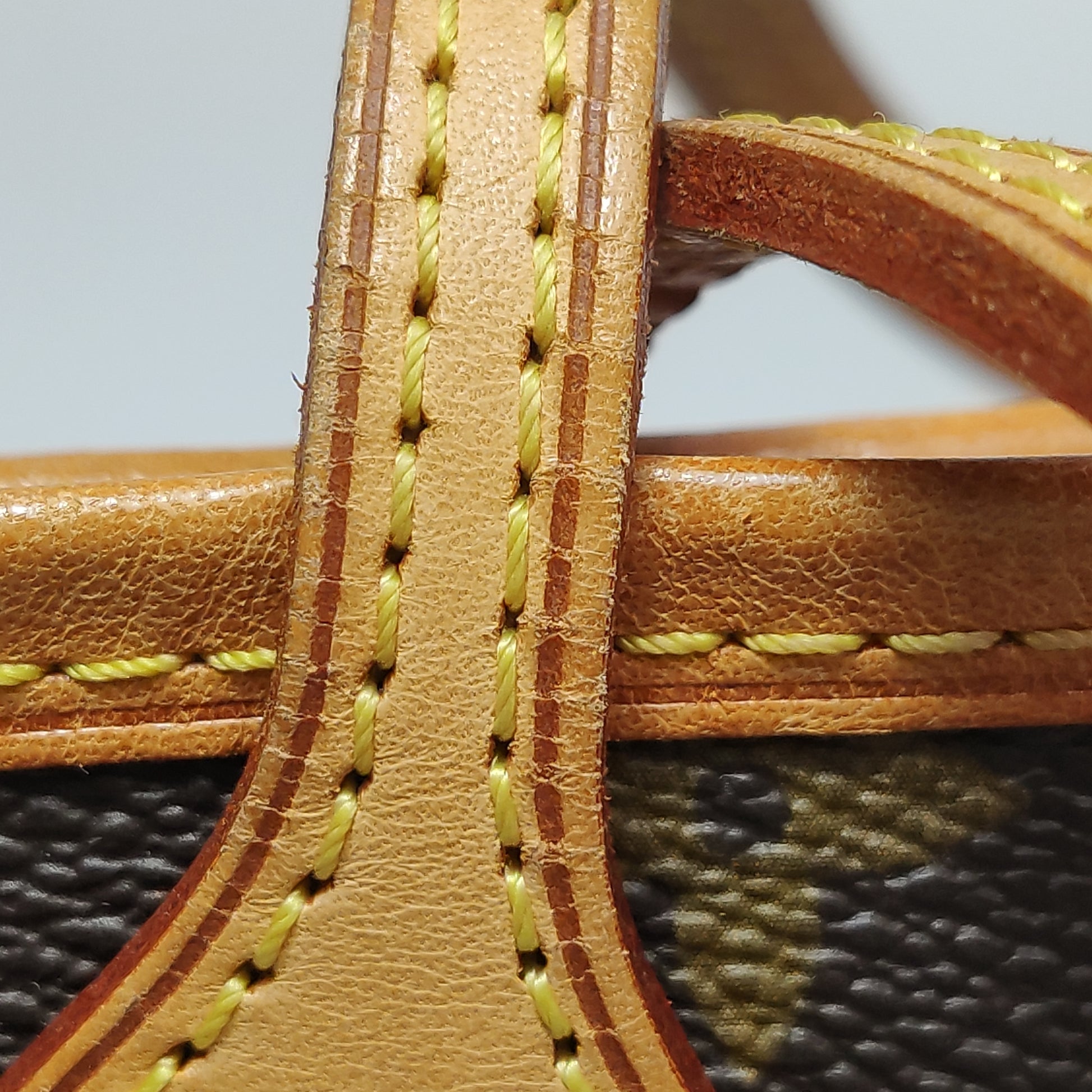 Louis Vuitton Neverfull PM Monogram