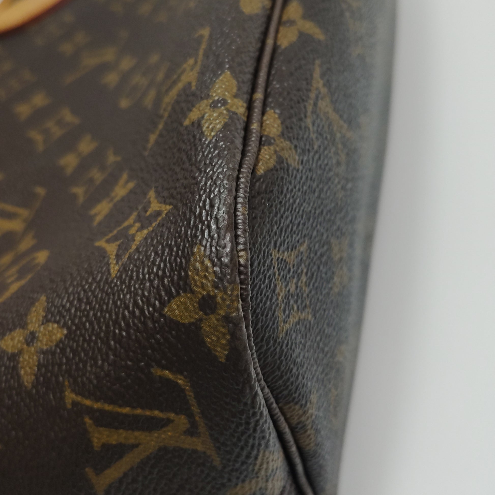 Louis Vuitton Neverfull PM Monogram