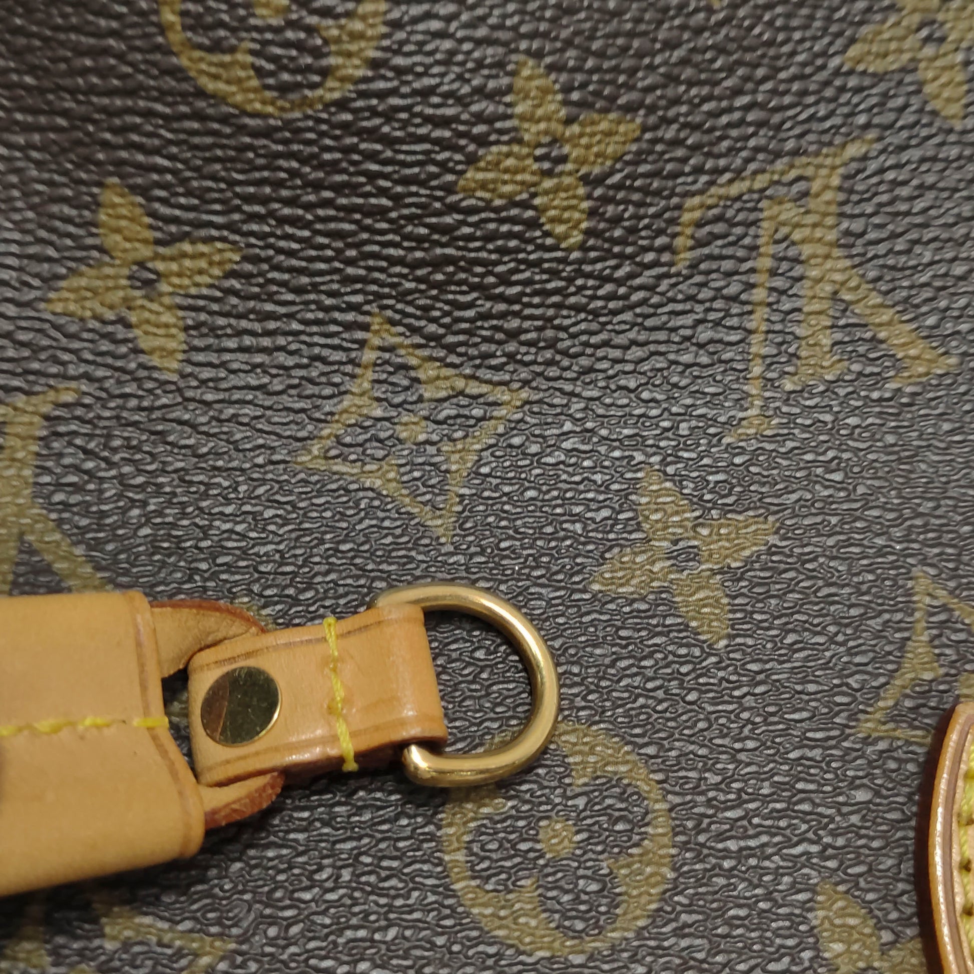 Louis Vuitton Neverfull PM Monogram