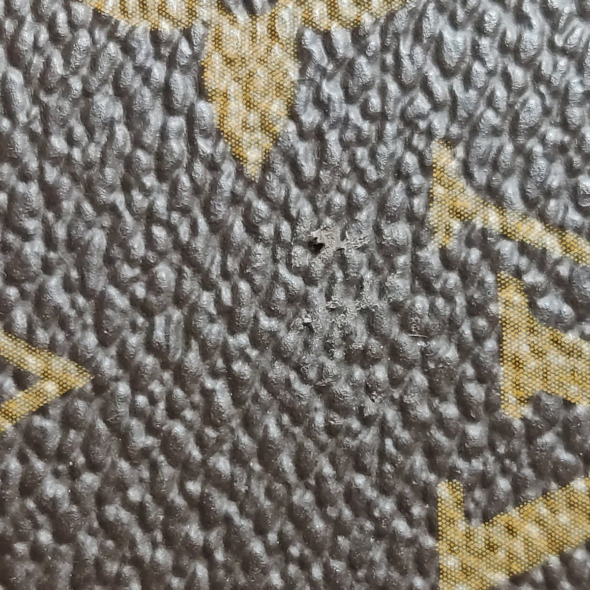 Louis Vuitton Neverfull PM Monogram