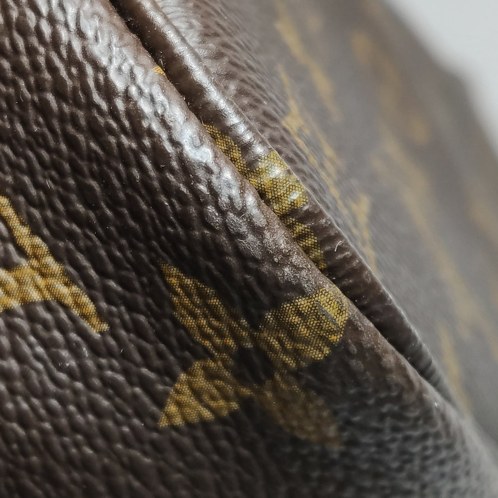 Louis Vuitton Neverfull PM Monogram