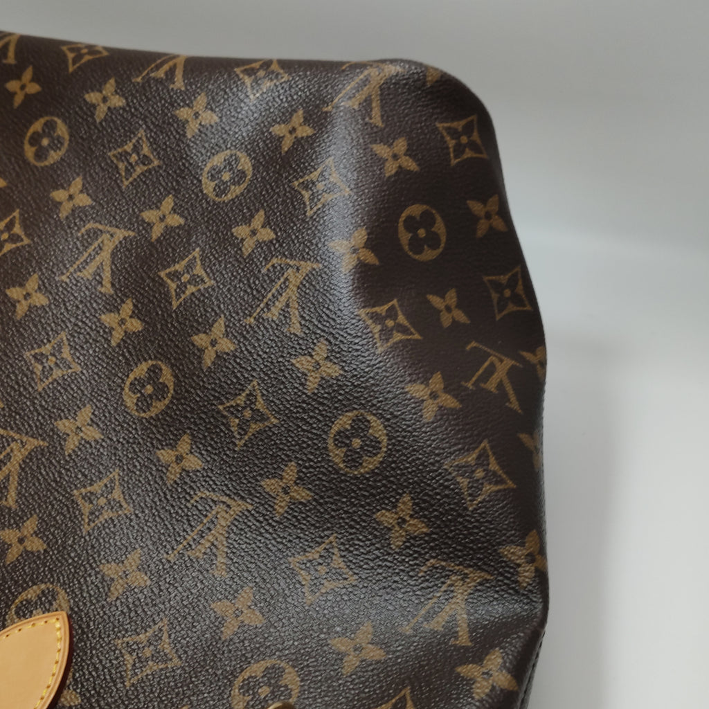 Louis Vuitton Neverfull MM Monogram with Pouch