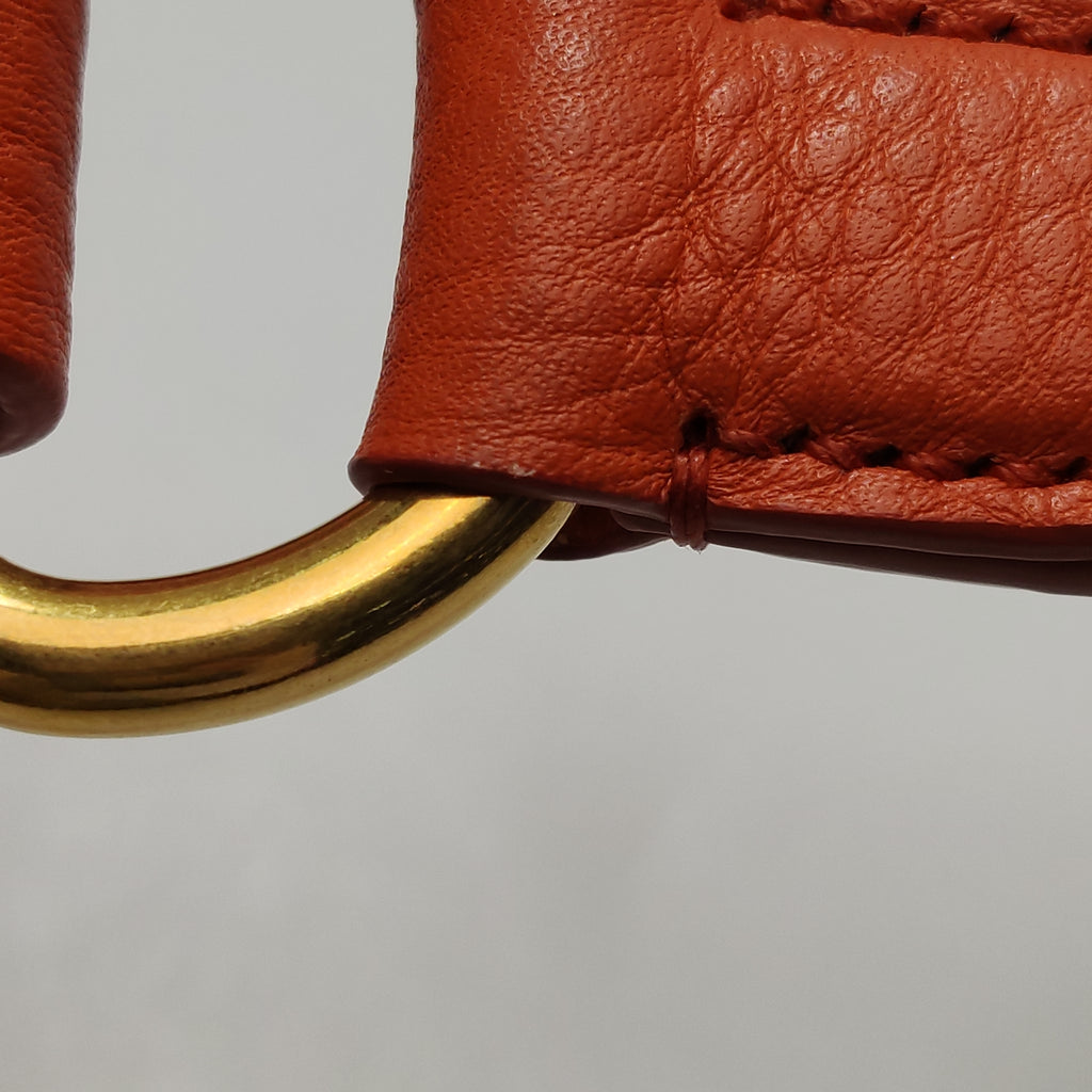 Prada Vitello Daino Hobo Bag Orange