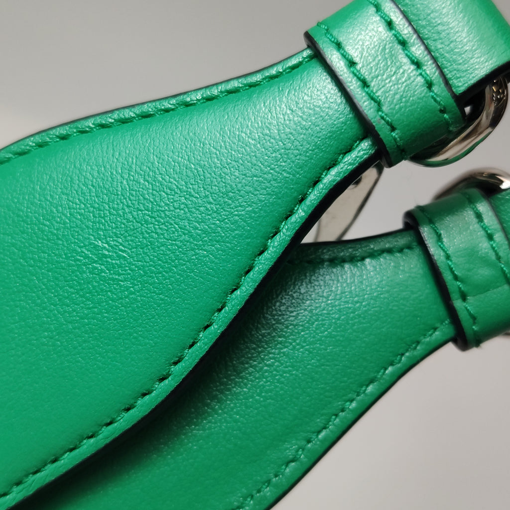Prada Triangle Logo Grace Lux Crossbody Green